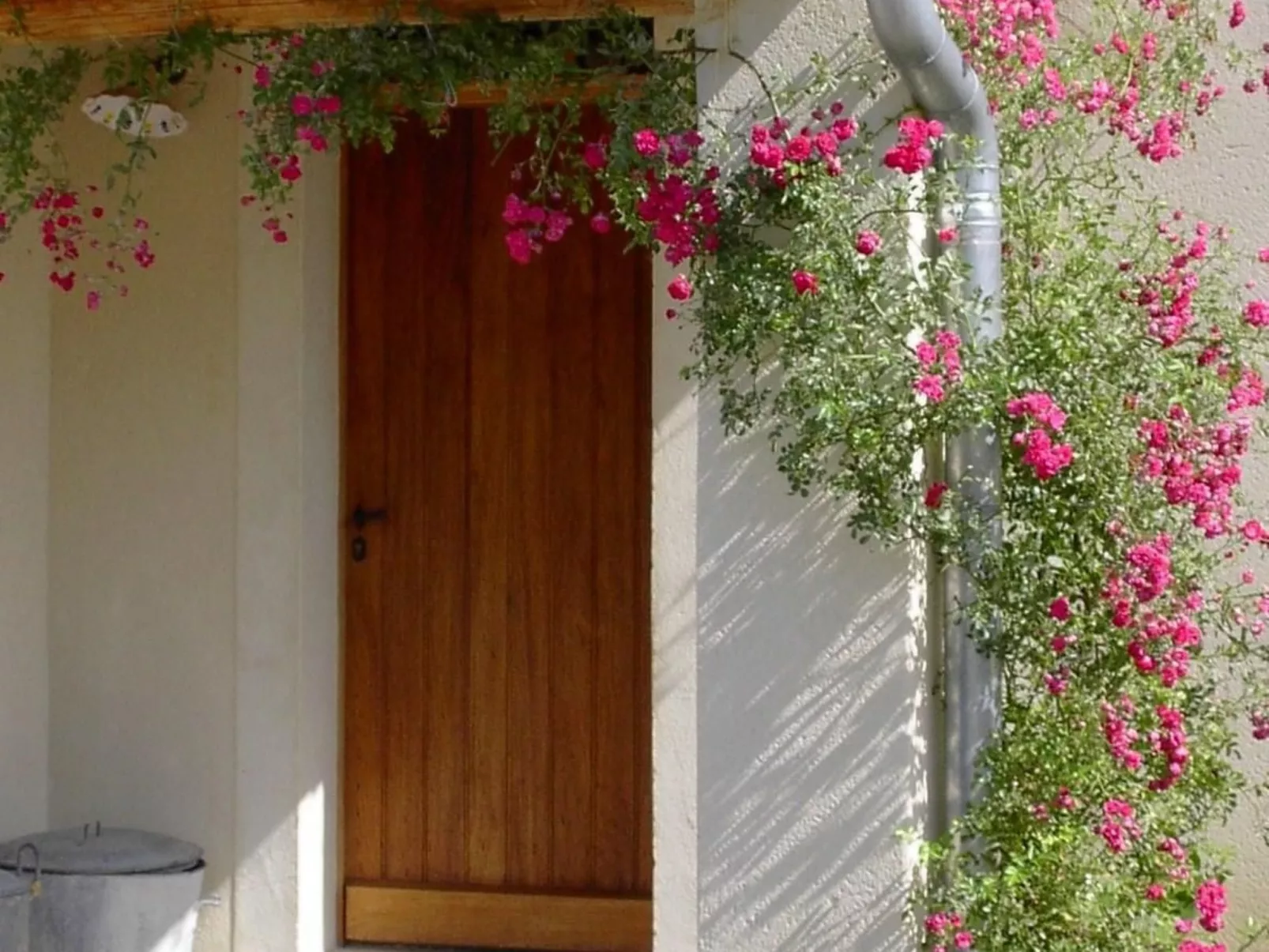 Mas de la damisello-Image-tags.info