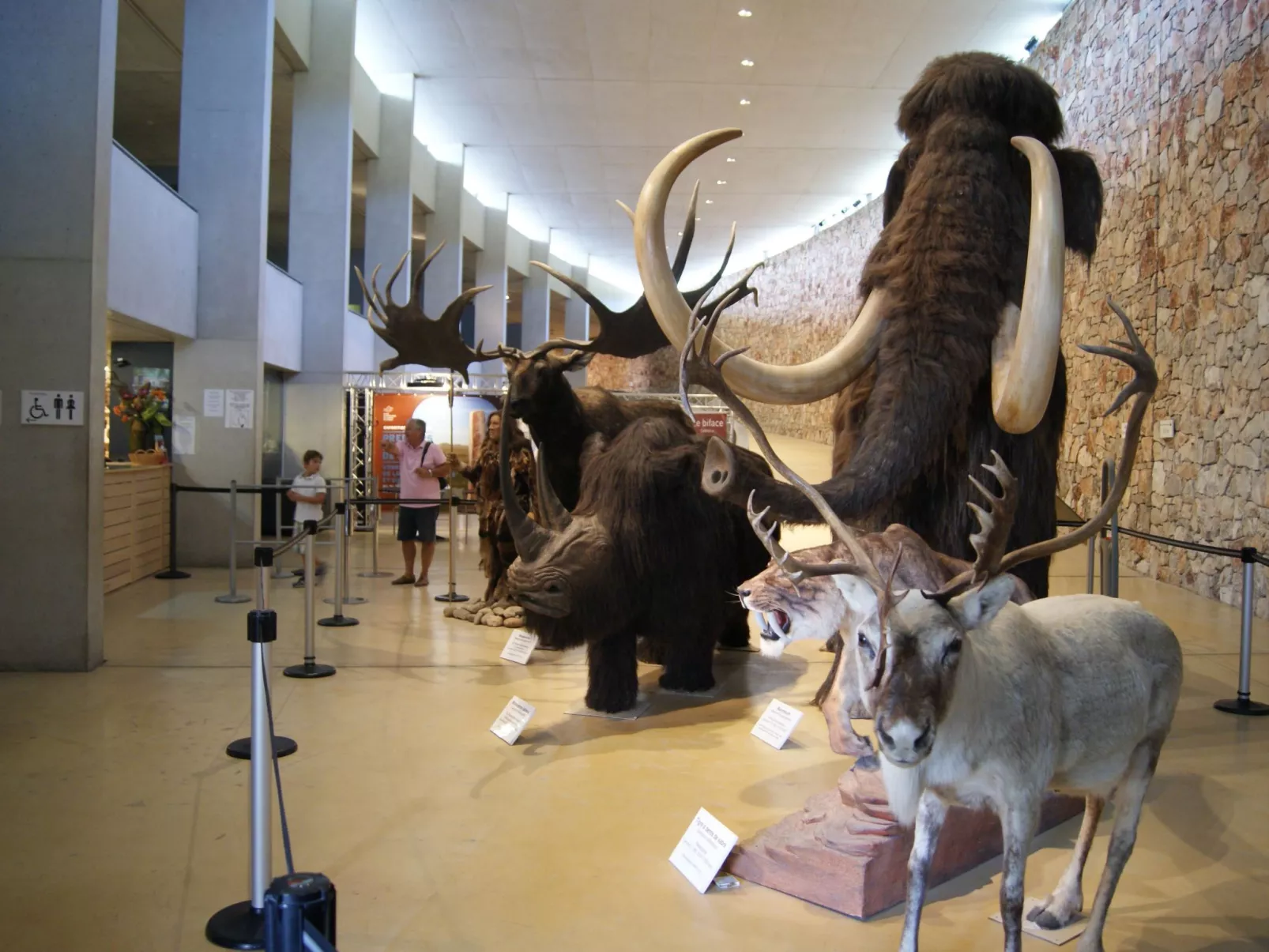 Le mas de l'Aven Unterkunft le mûrier-Draußen