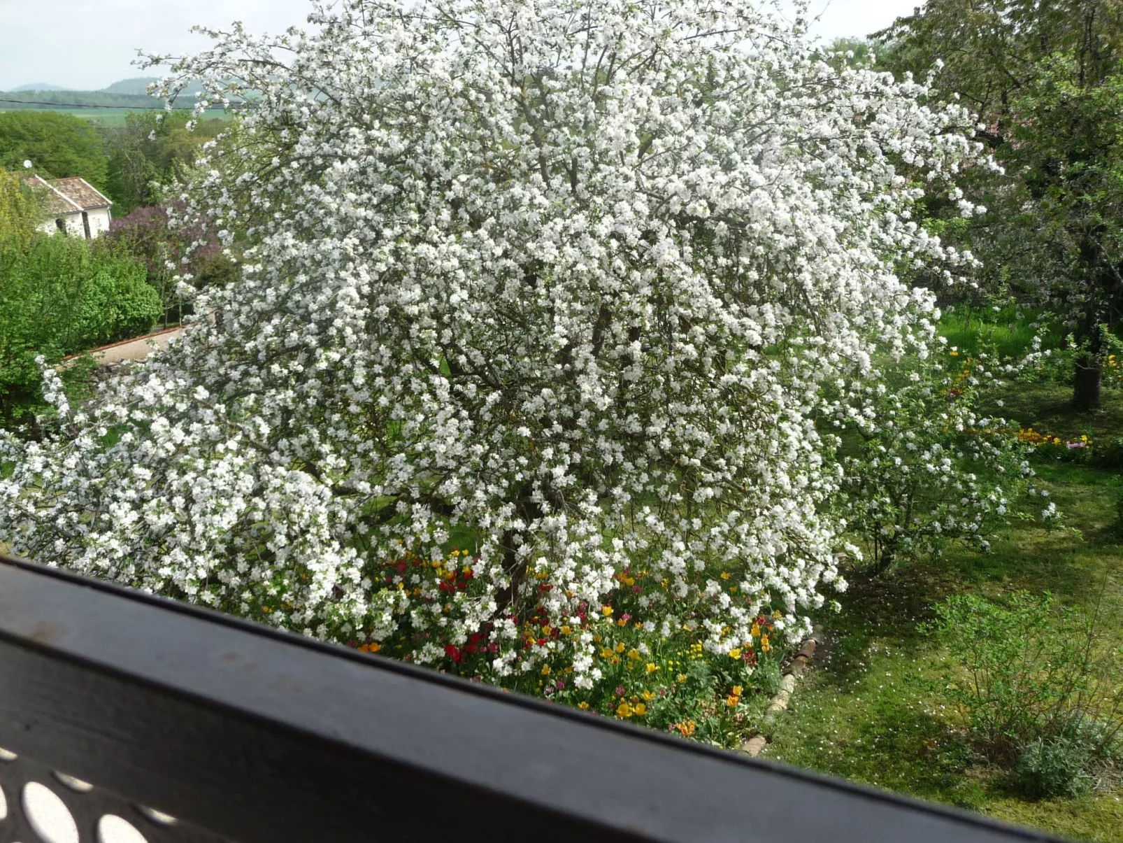 Domaine "Chez Marianne" mit Privatparkplatz-Draußen