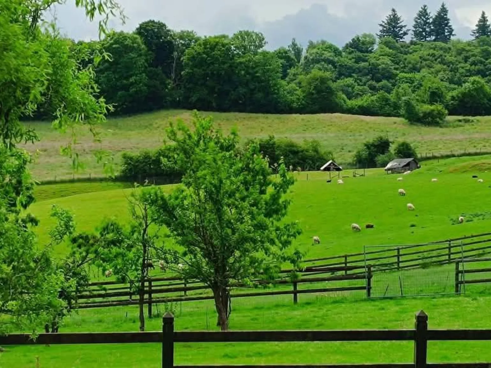 Tiny House Sundancer-Outside