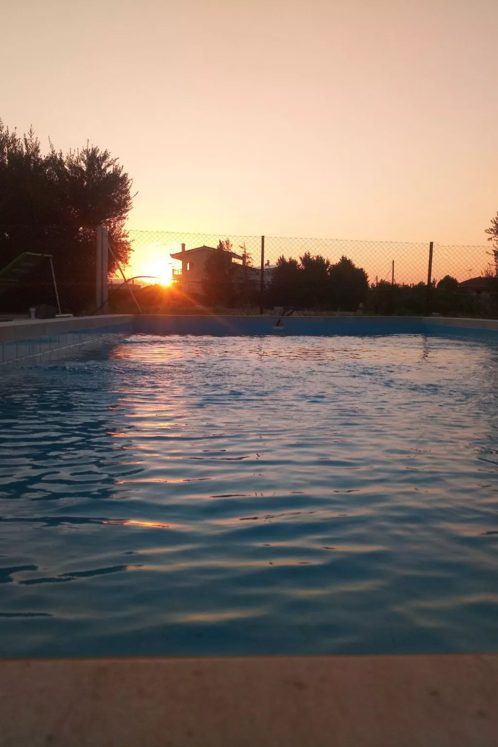 Neben Orangenbaum-Obstgarten-Outside