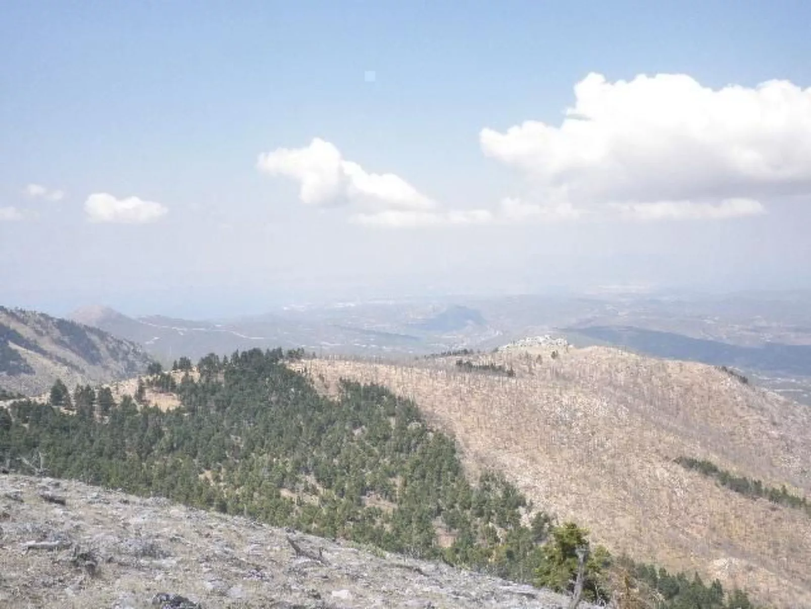 Studio mit Garten-Outside