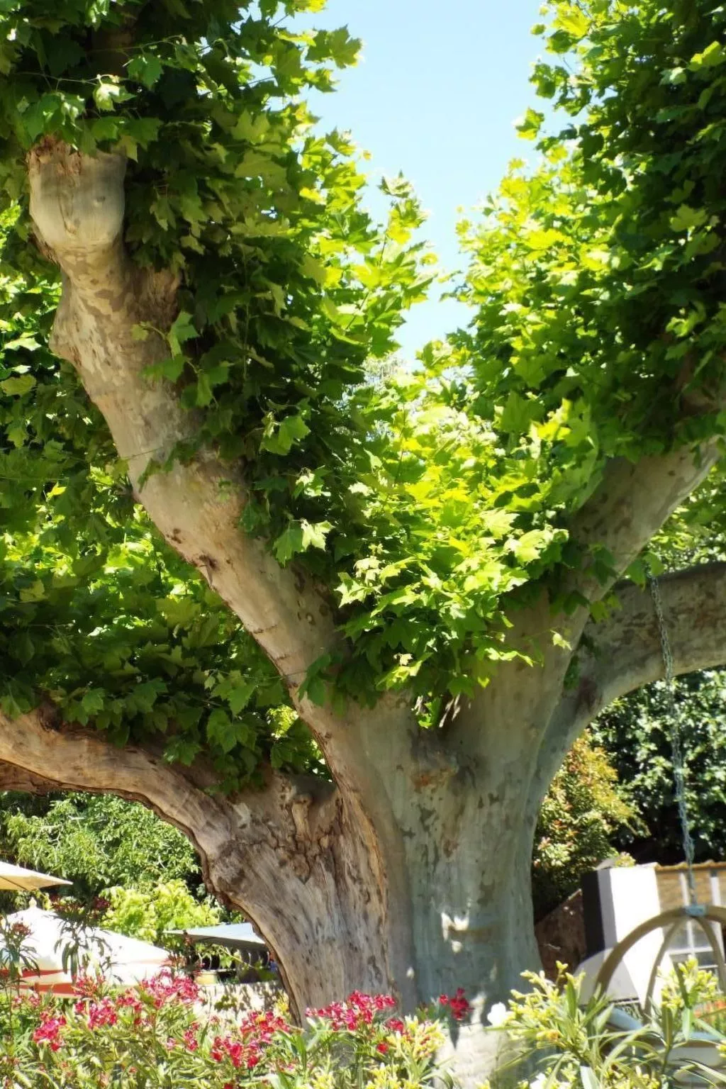 Leonie's Gîte Moulin de Tartay in Avignon-Draußen