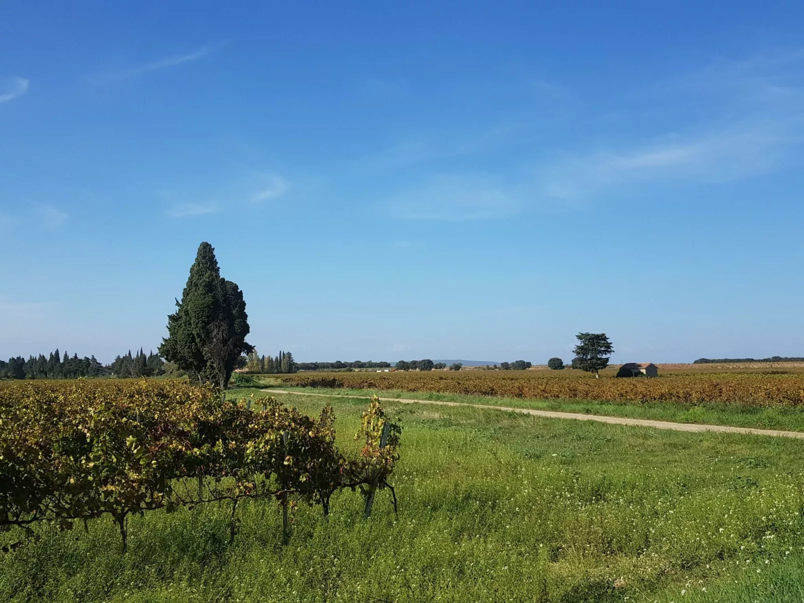 Charmantes Bauernhaus in der Provence-Outside