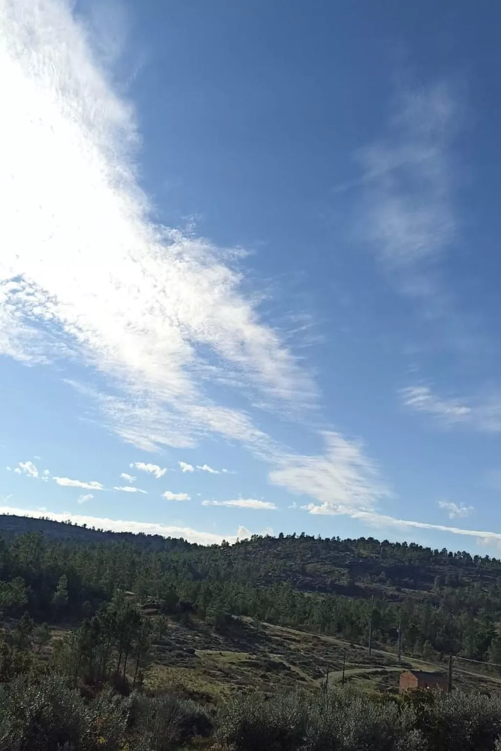Ferien auf dem Bauernhof mit Weinberg-Outside