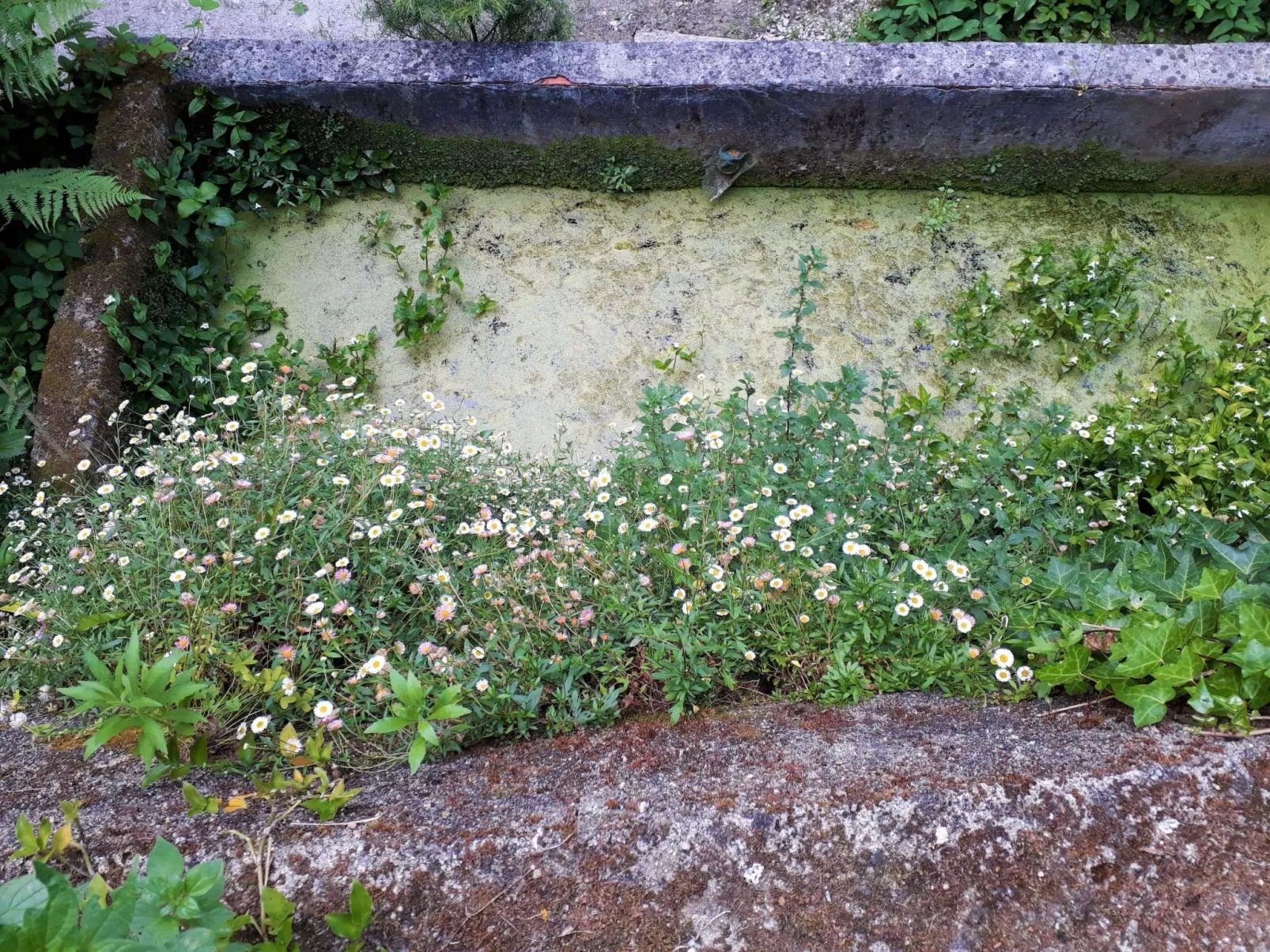 Quinta D'Avó Amélia, wunderschönes Landhaus zwischen den Bergen und dem Meer-Draußen