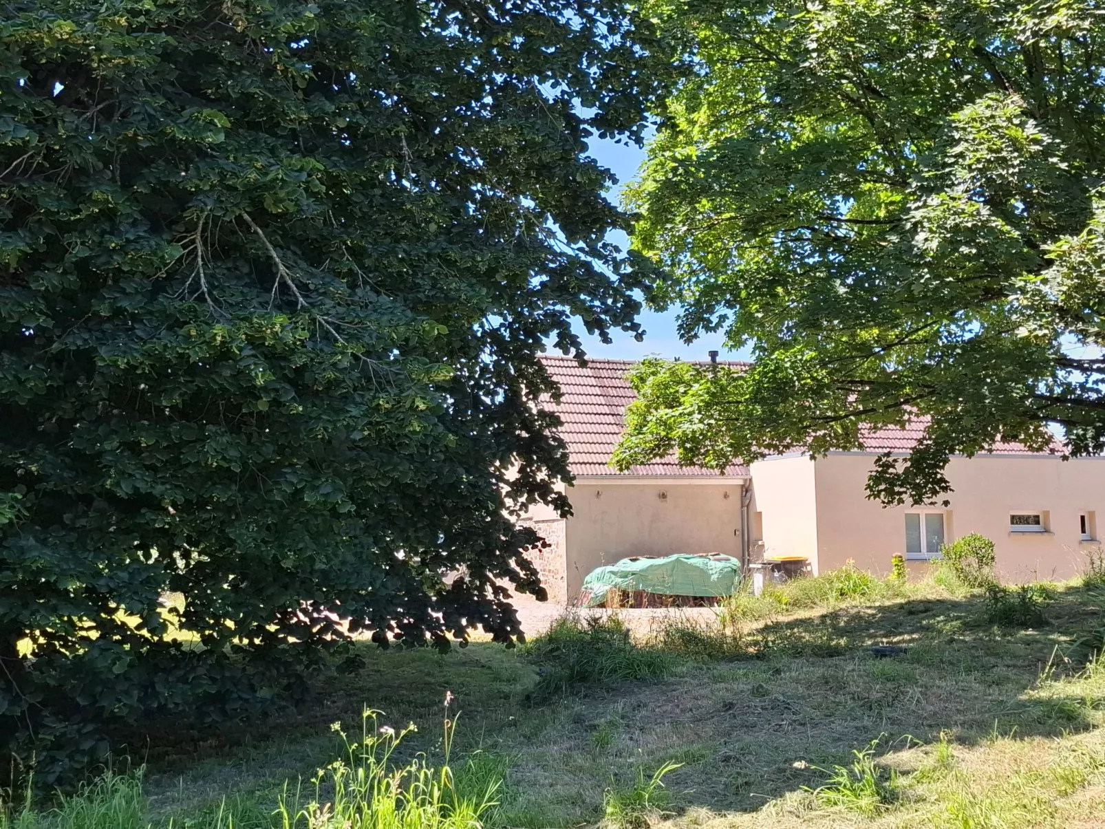 Le Bois aux Ecureuils (Eichhörnchenwald)-Outside