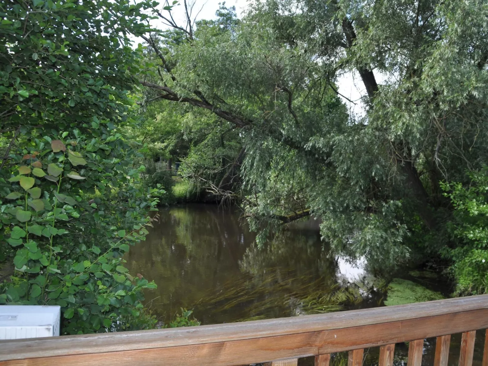 Rosalie - Ruhig - Zentral - Hochwertig-Image-tags.info