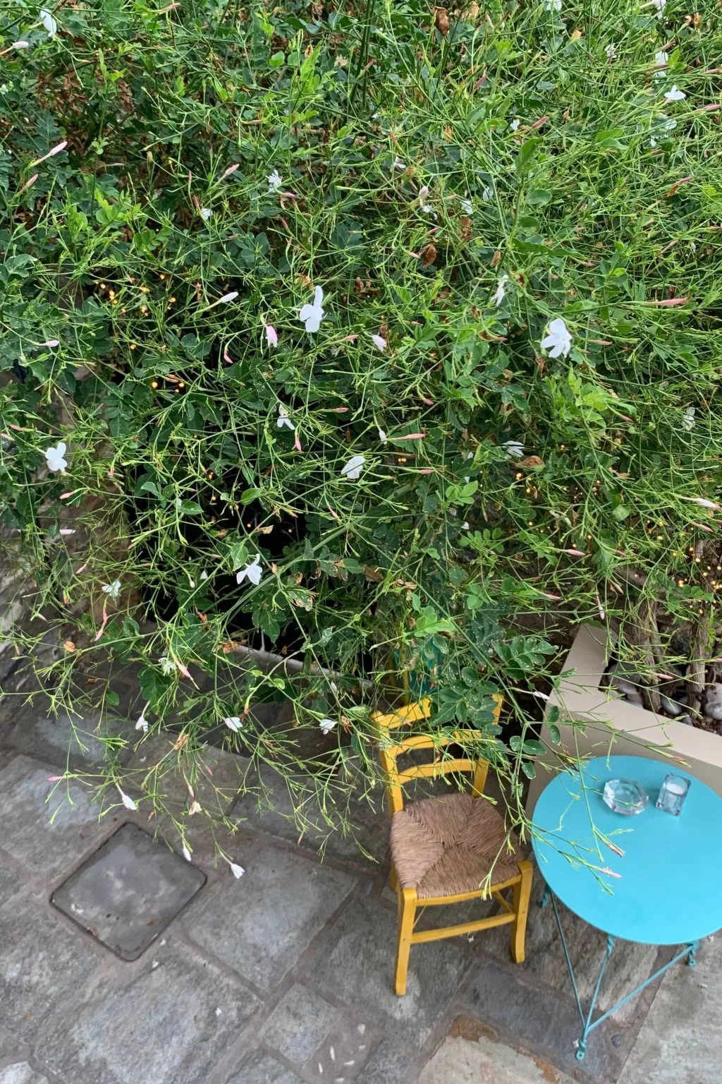 "Kyria Florenz"-Draußen