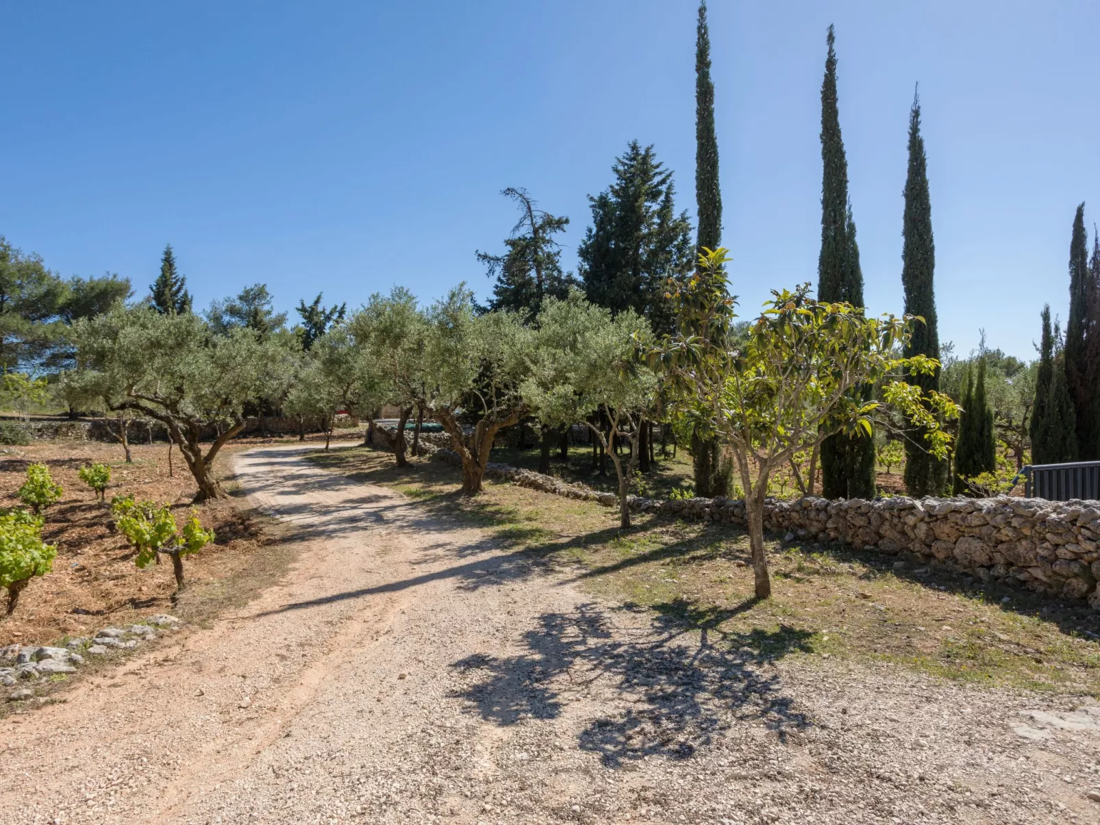 Villa Nefeli mit privatem Pool-Outside
