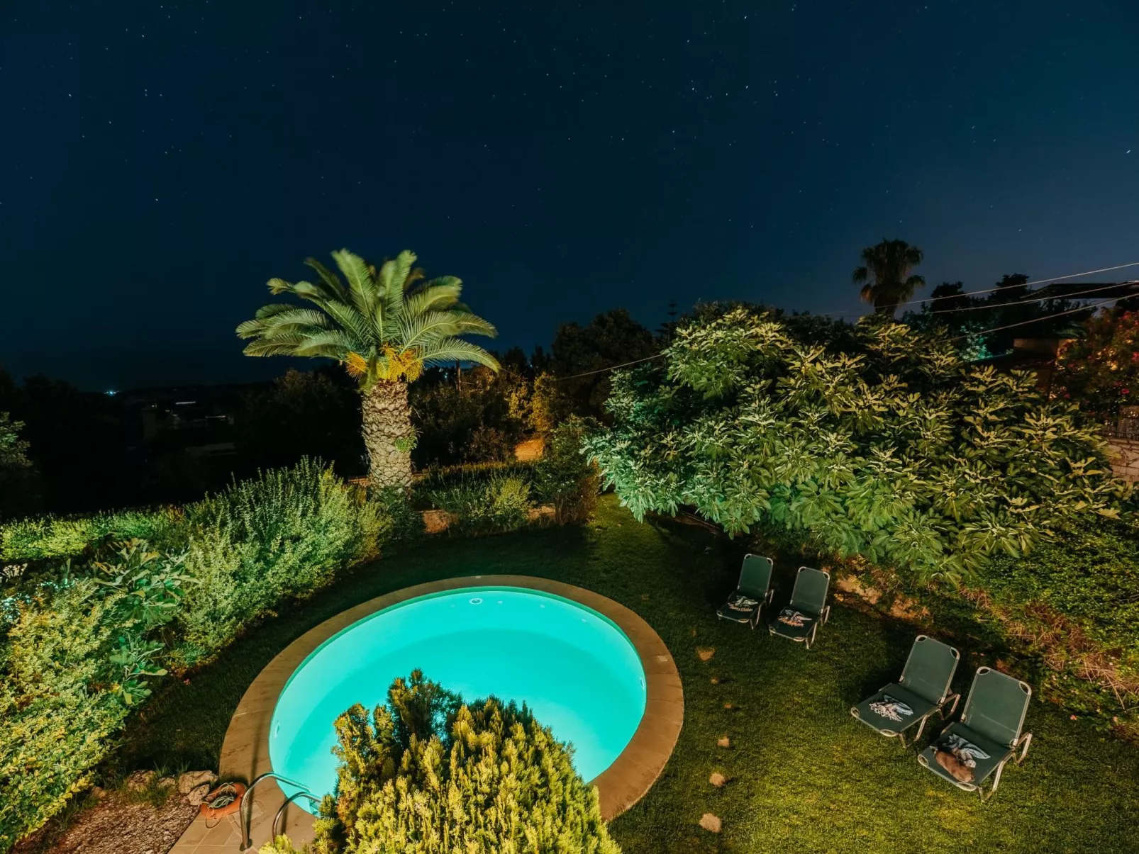 Erato-Image-tags.info