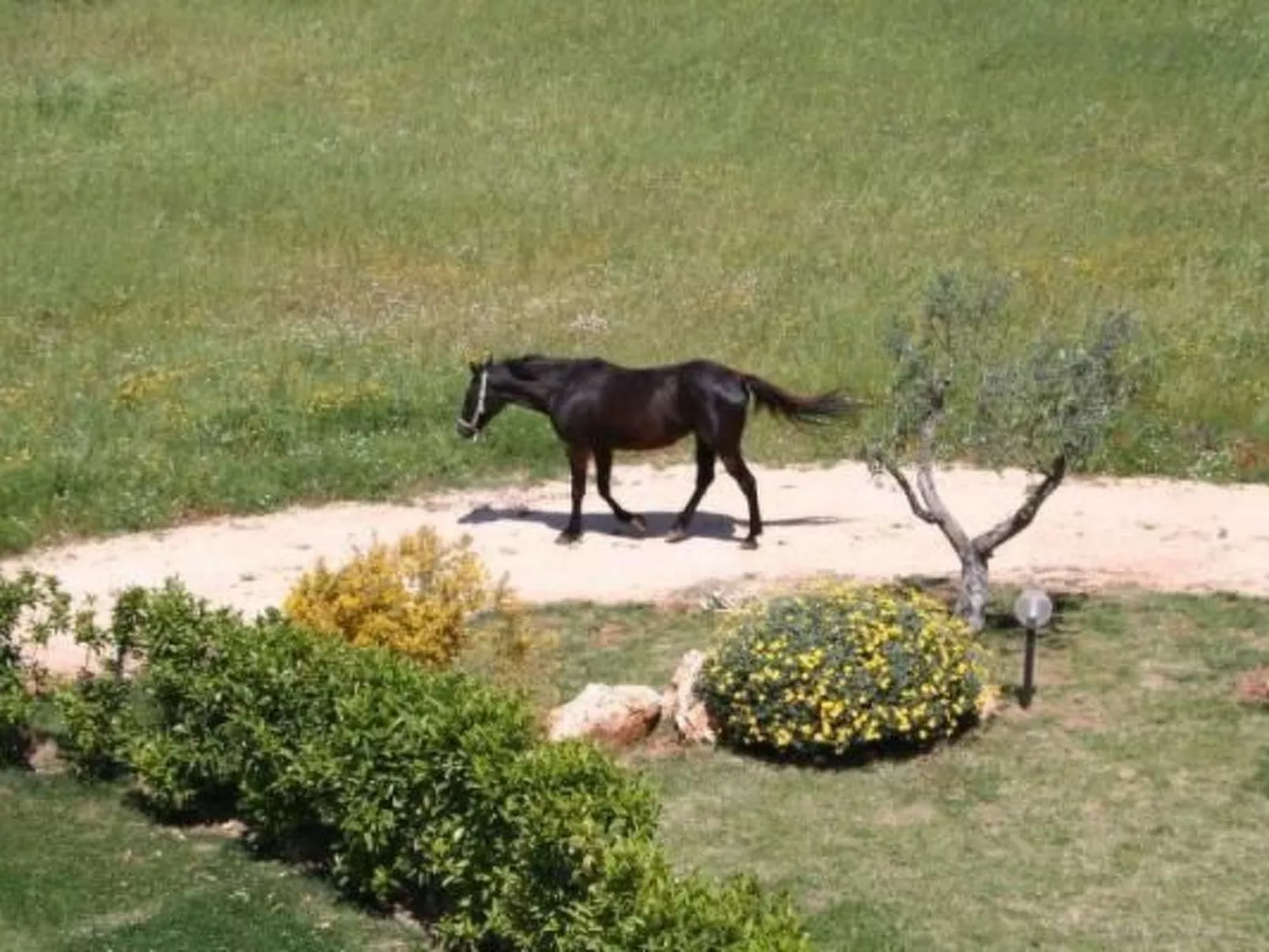 Antike Villa mit privatem Pool, Spa und türkischem Bad-Outside