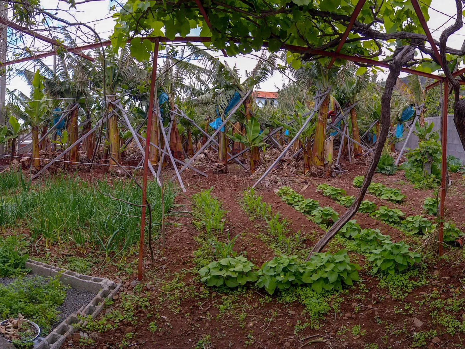 Typische Bauernhof-Wohnung-Draußen