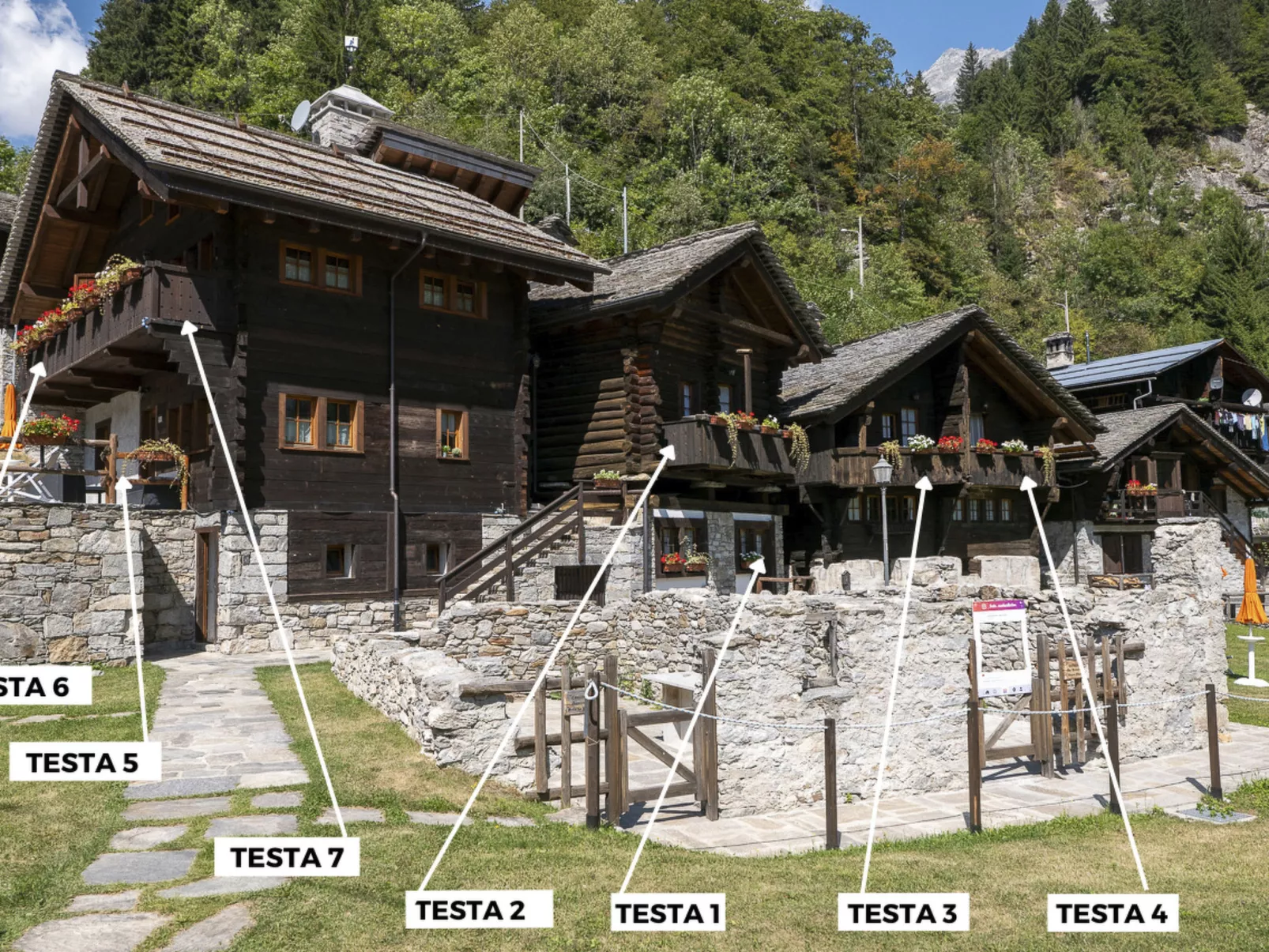 Chalet Borgo Walser Testa 5 - Outside
