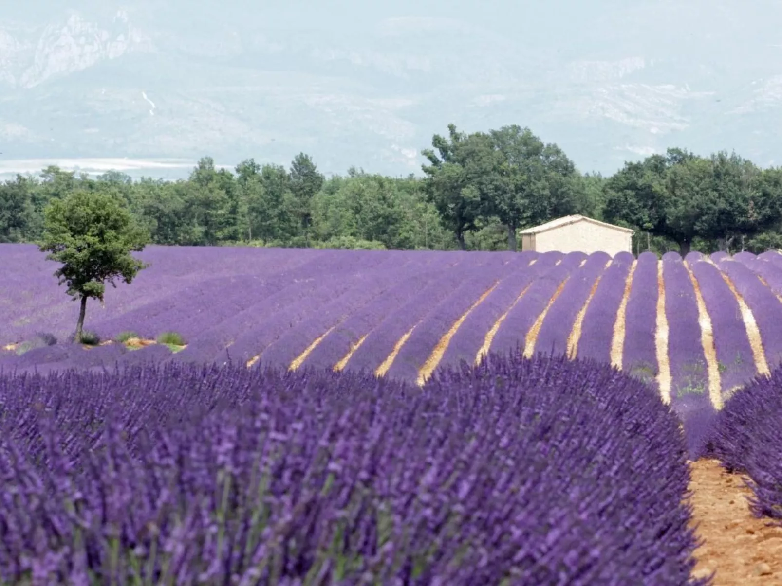 Maison Hascher-Outside