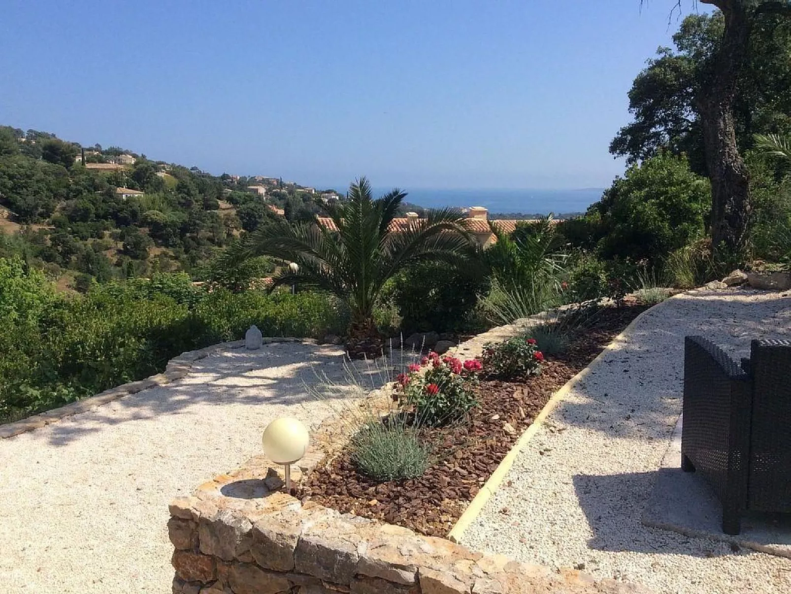 Les Palmiers-Image-tags.info