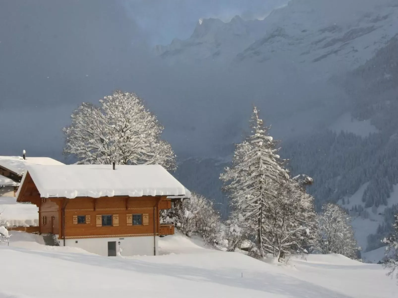 Chalet Bärgbächli-Outside