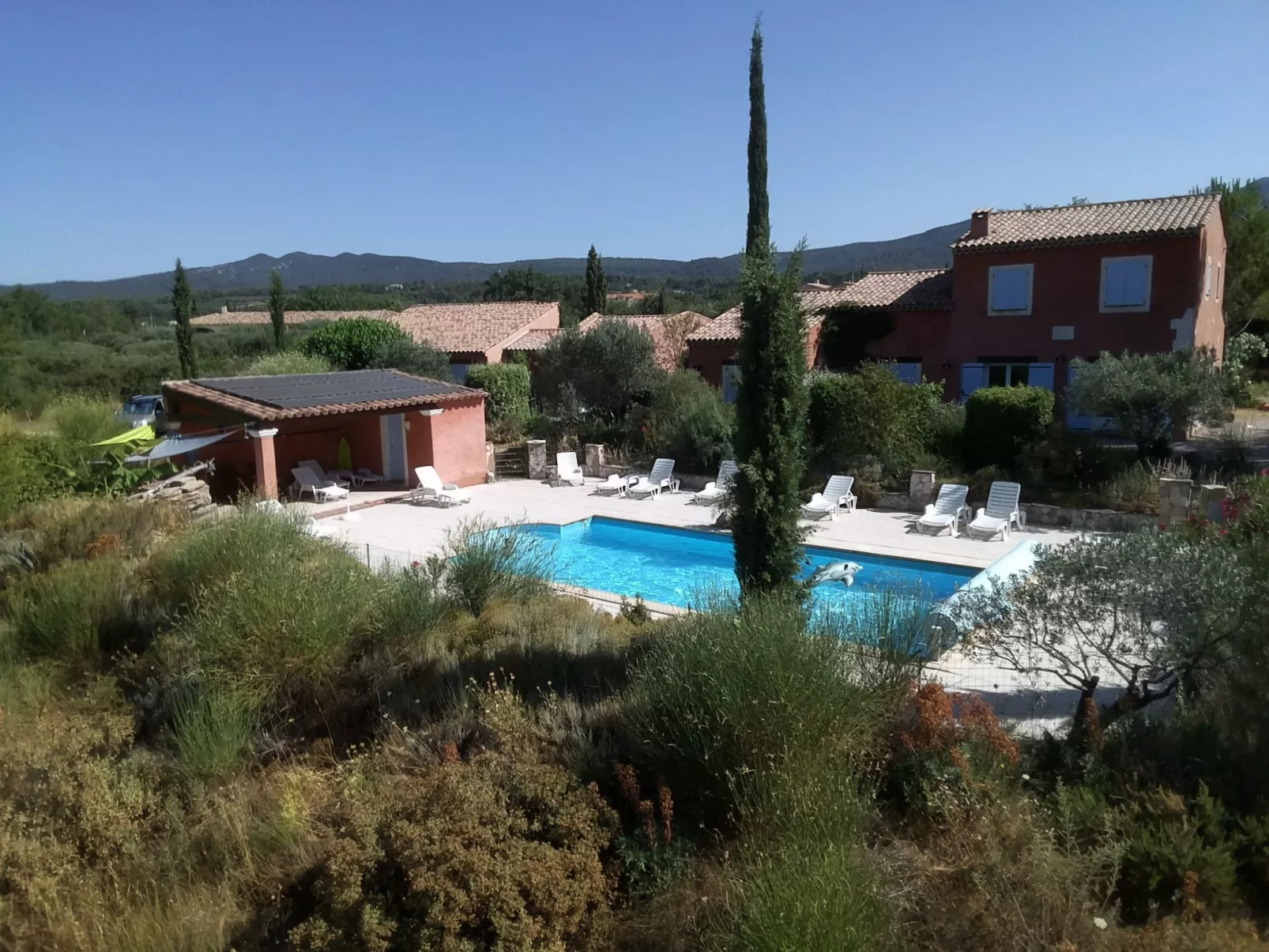 Les amandiers-Dehors