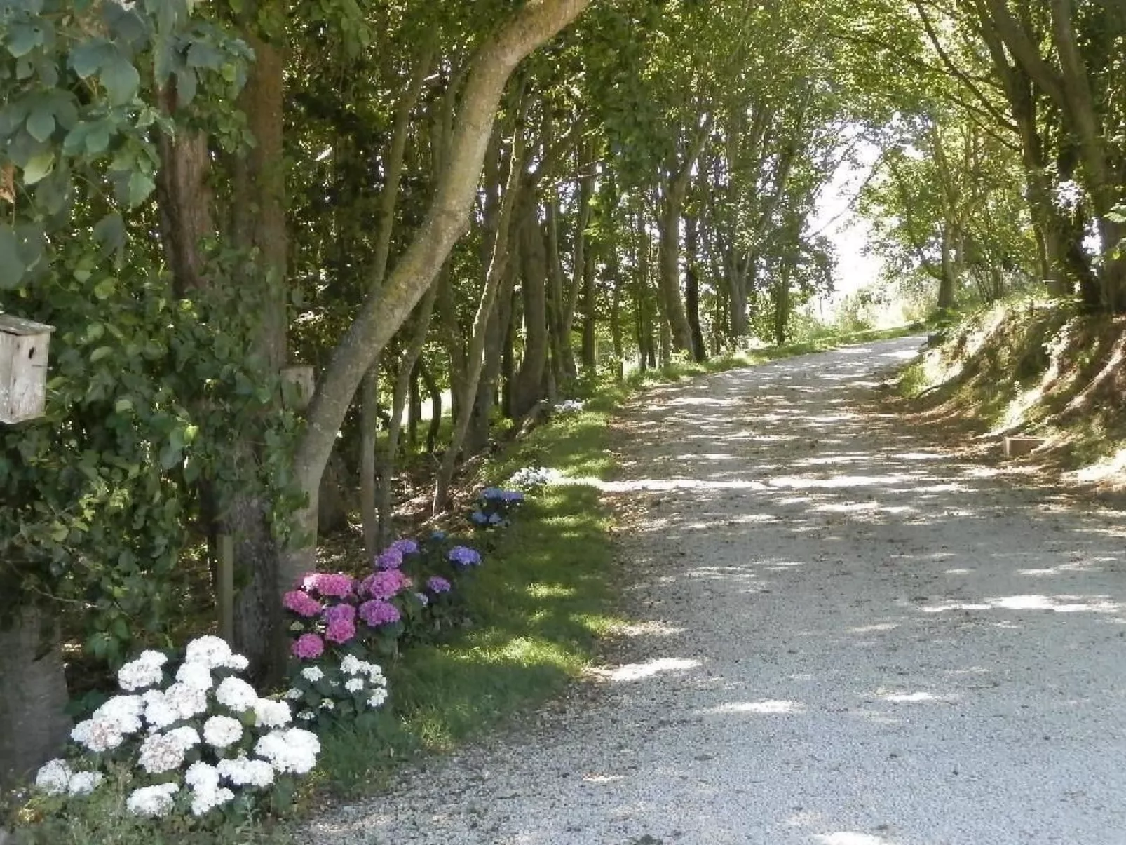 "Tromeal Lasalle" blick auf das Meer. Mit 4 Sternen klassifiziert-Outside