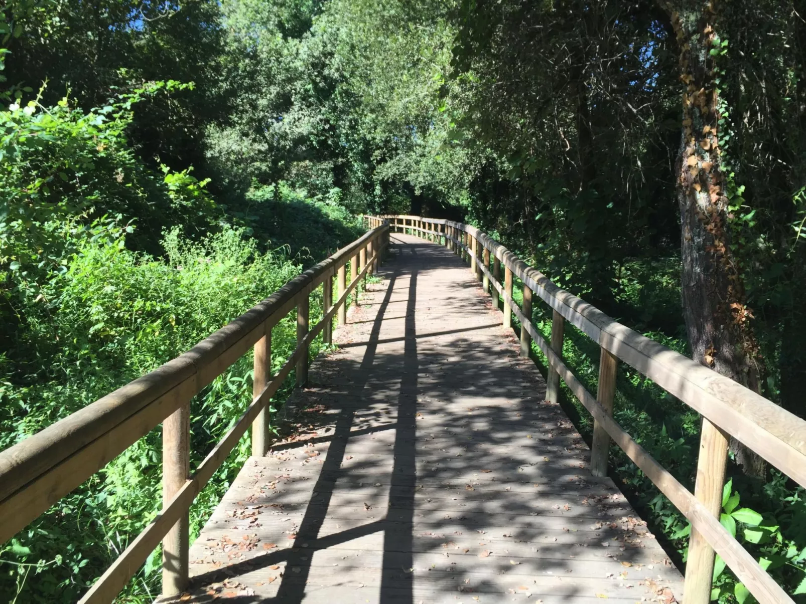 Villa "Vivenda Vila Nova"-Dehors