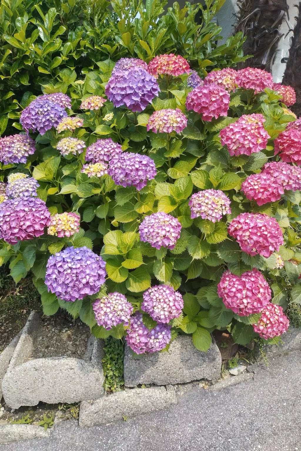 Residenza Viramonte - Casa Fiona, Wohnung 52 - Image-tags.info