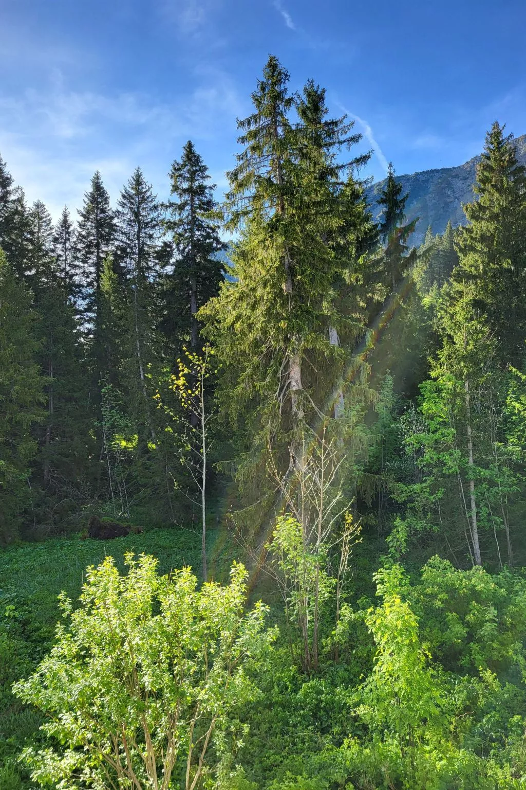 Fewo Pistenblick-Image-tags.info