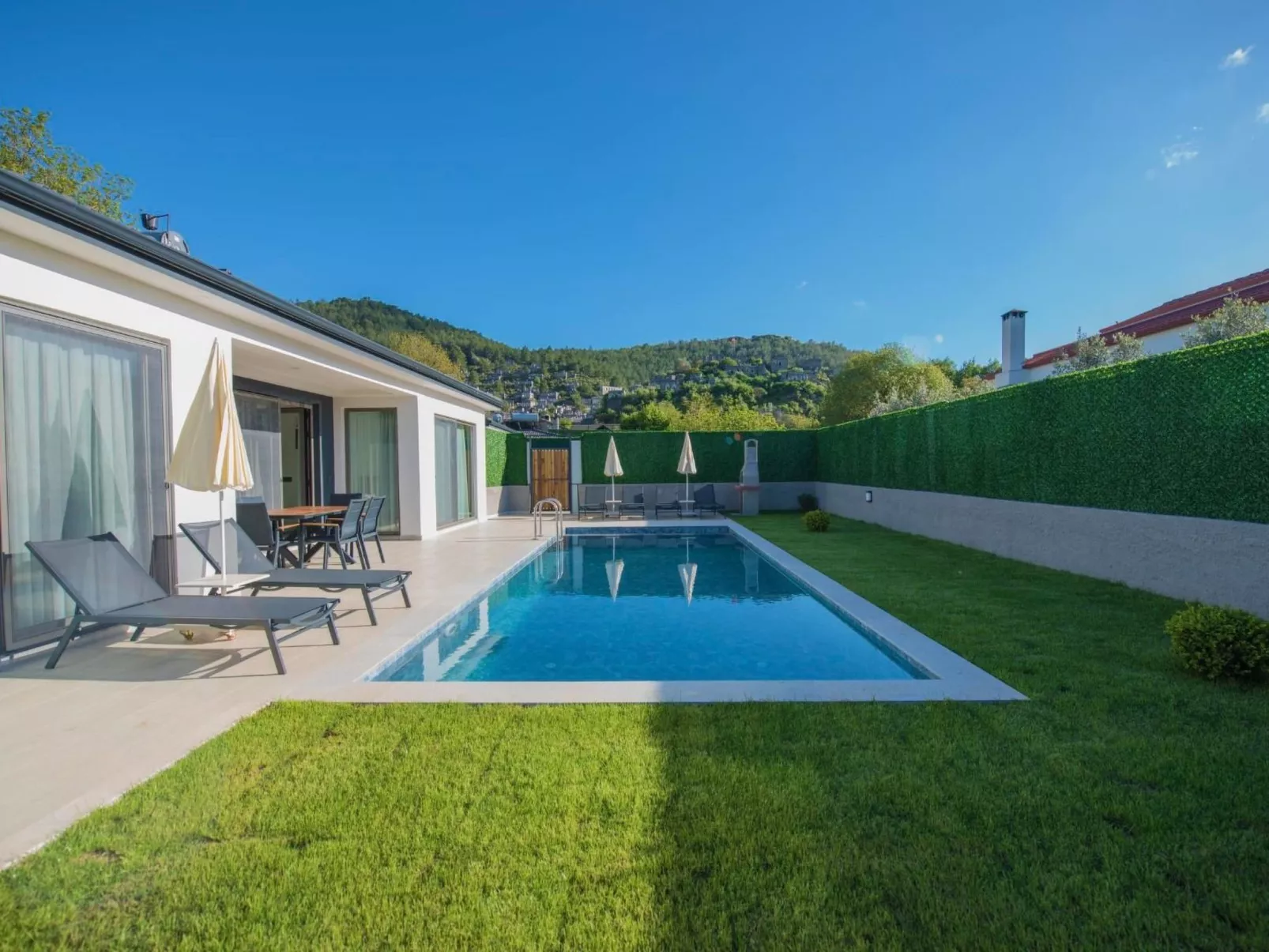 Zeytin-Image-tags.info