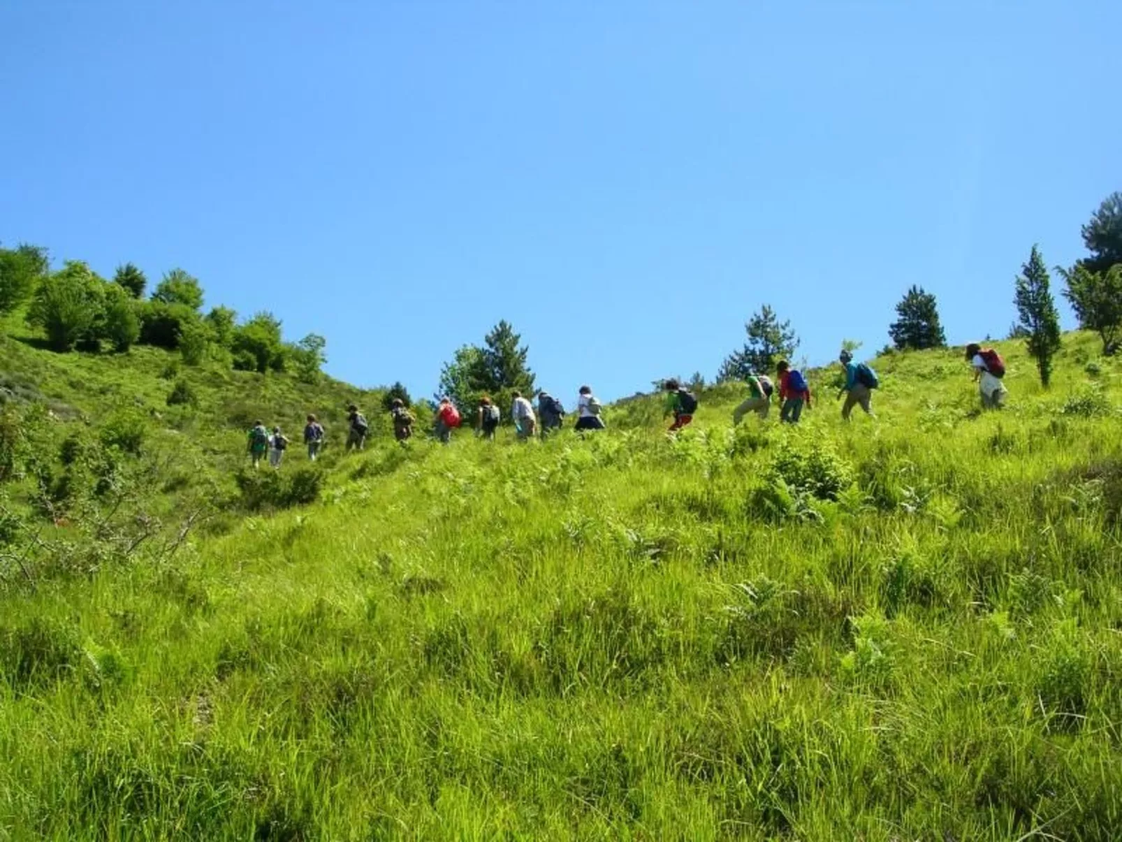 Sole-Image-tags.info