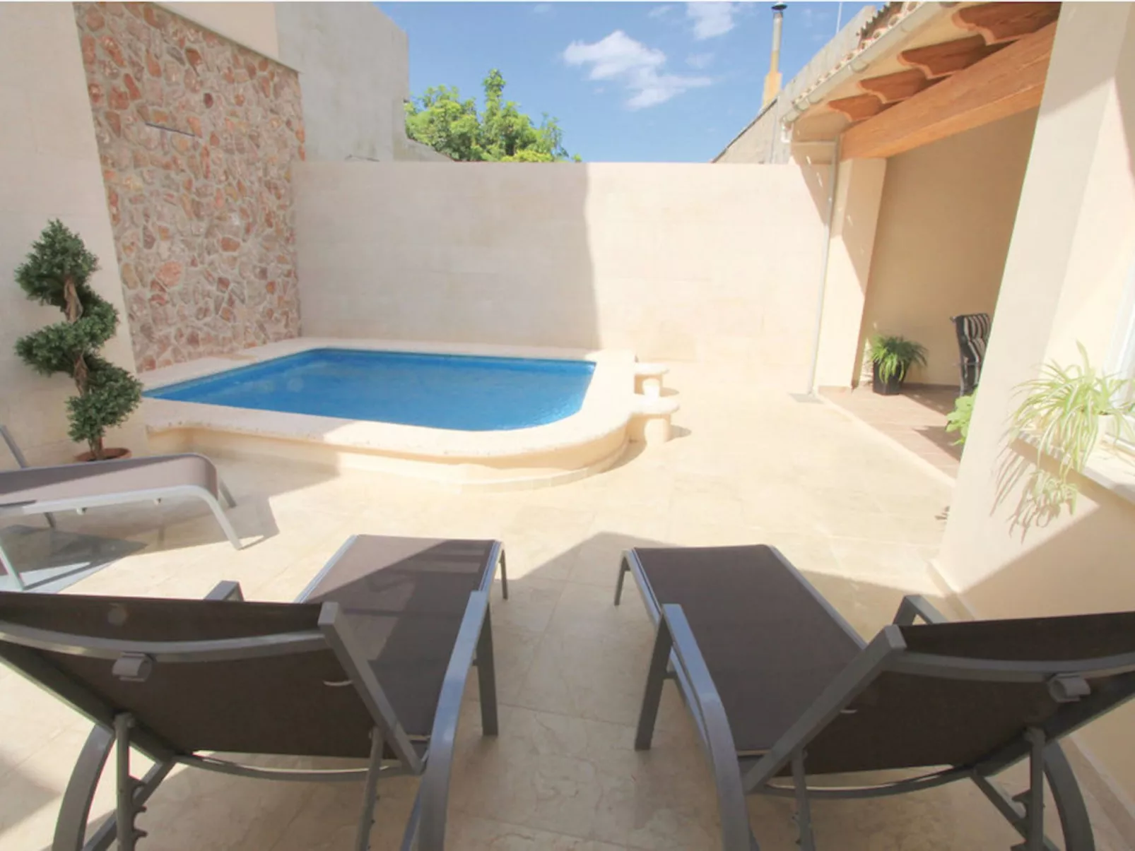 Ribot-Image-tags.info