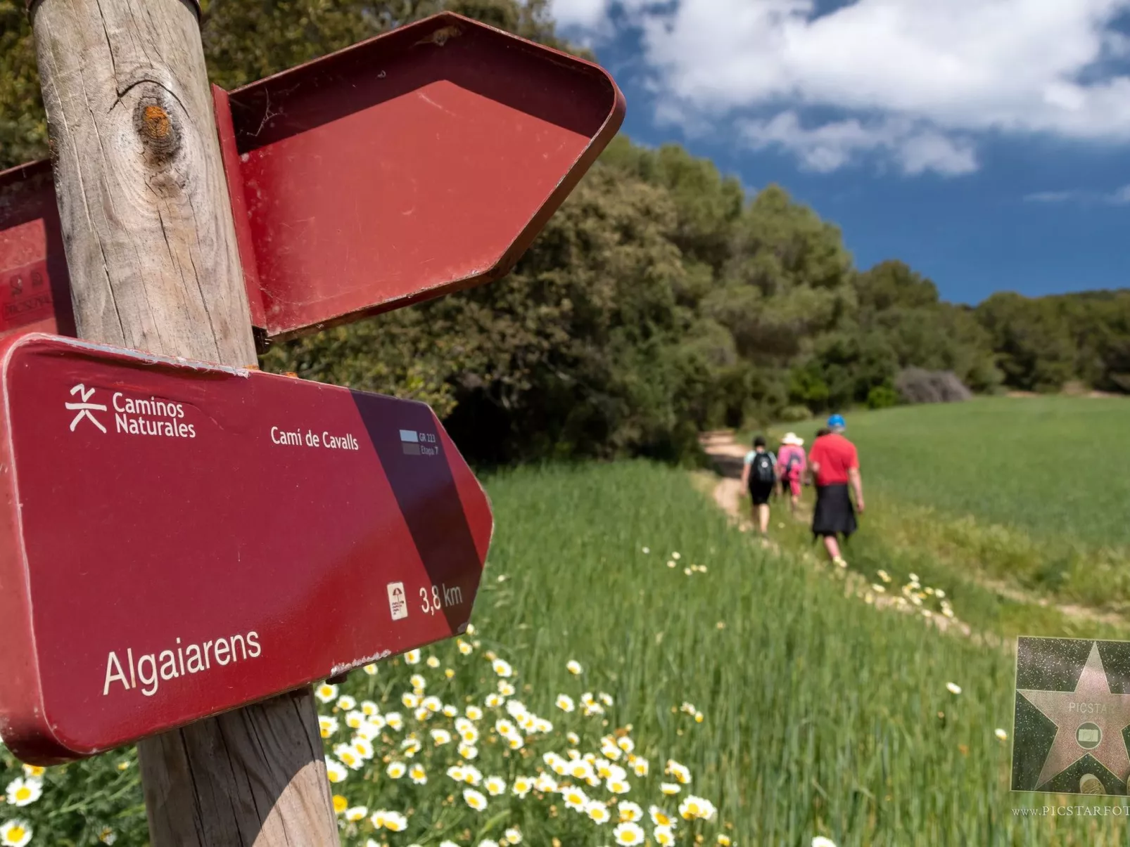 Villa Paraíso D14-Image-tags.info