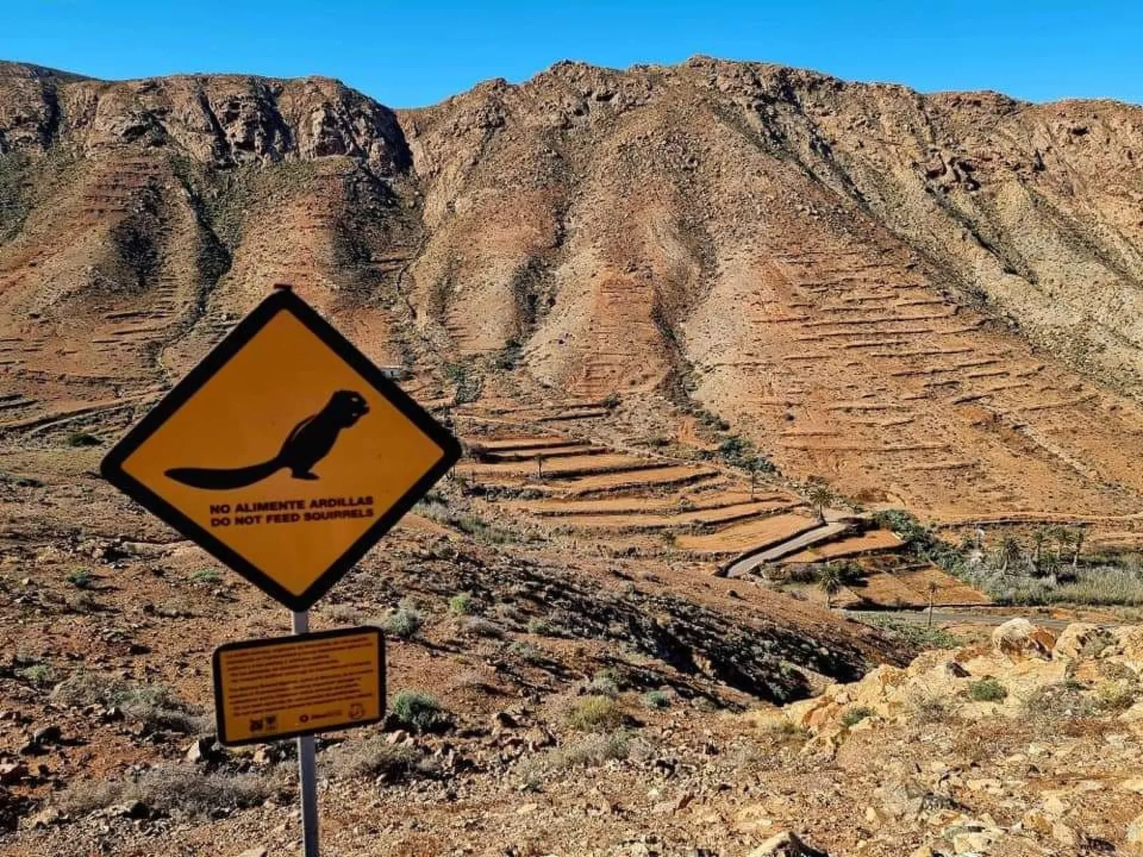 Duplex Casa Maya Caleta de Fuste-Image-tags.info