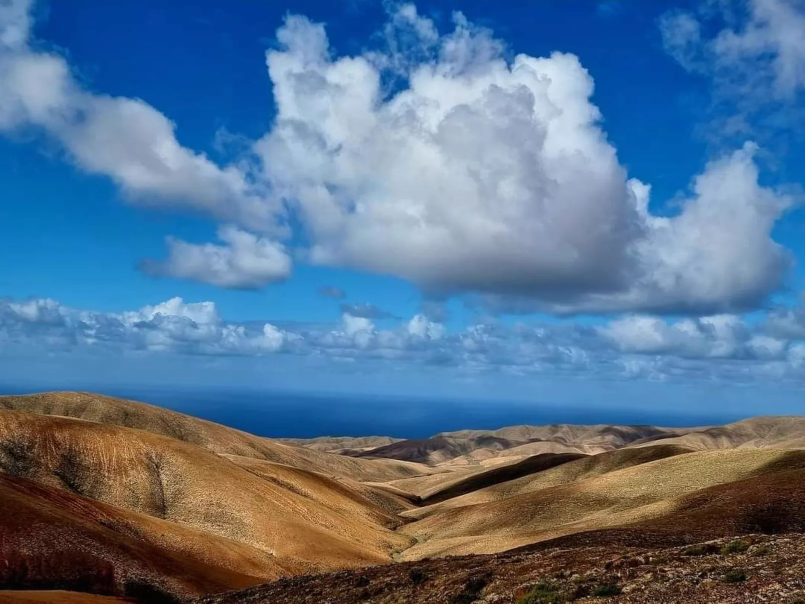 "Casa Freesia-Outside