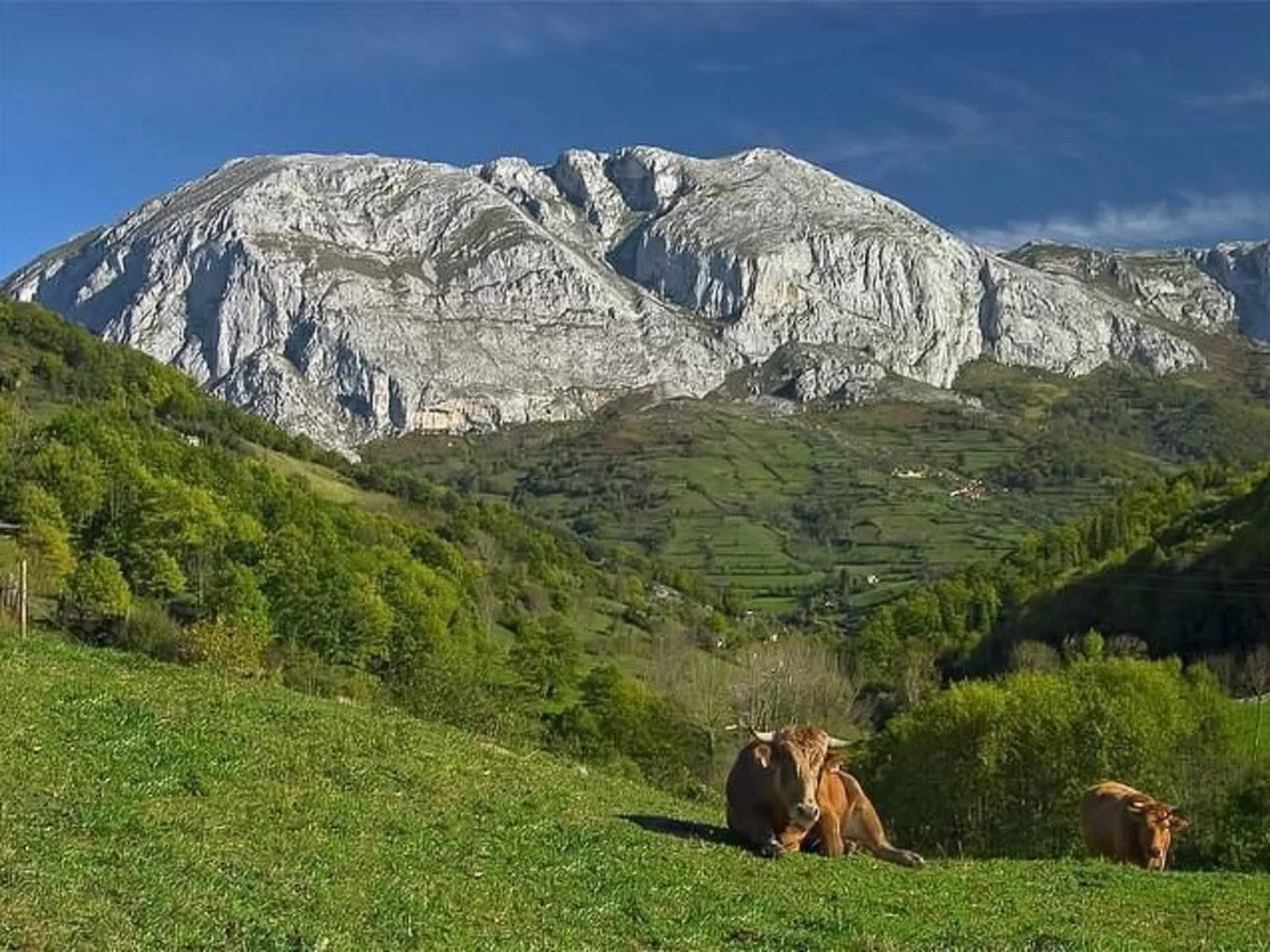 Ländliches Haus La Carrozal Senda del Oso-Outside