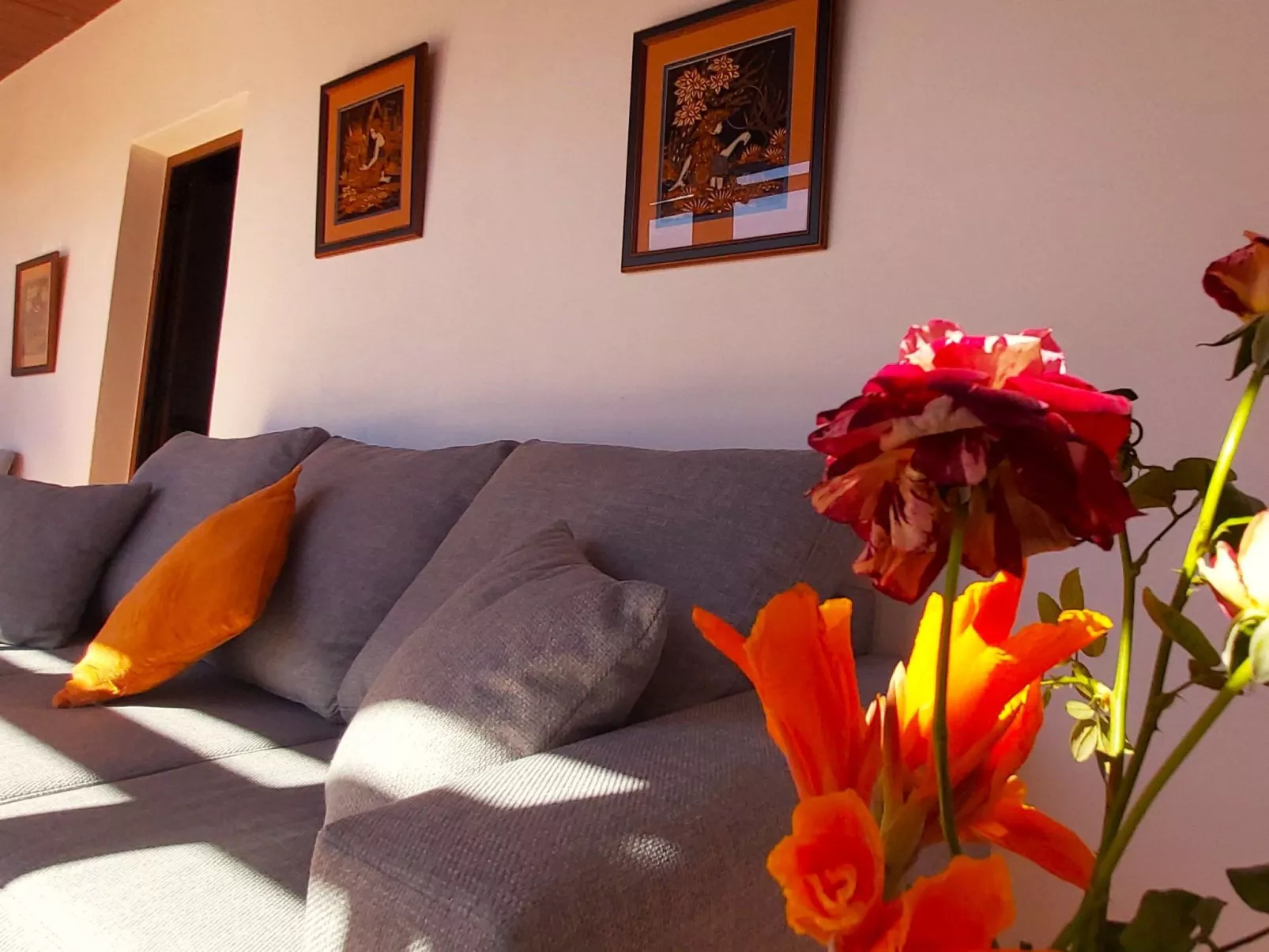 Finca Villa Clara 4-Inside