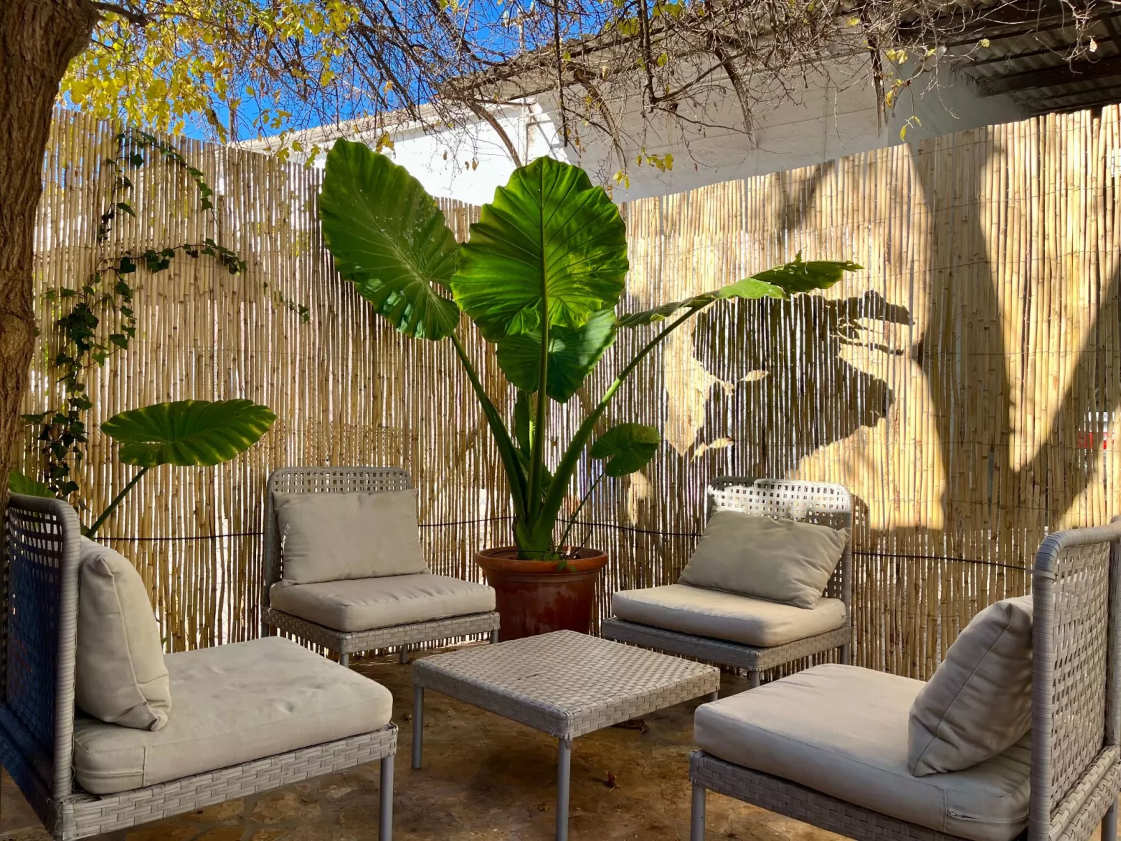 Finca 'La Casa de Illora-Dehors