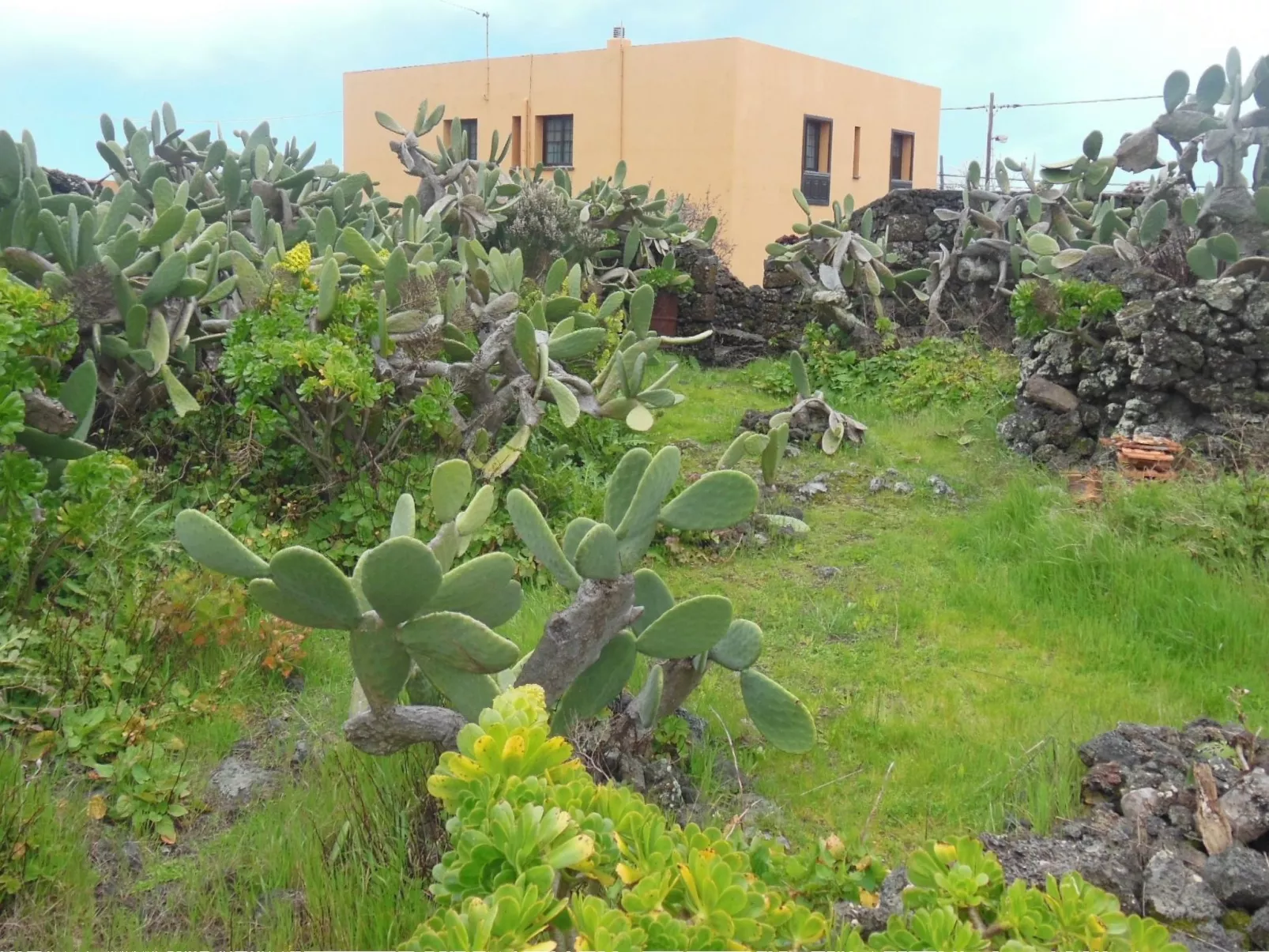 Traditionelles kanarisches Landhaus-Outside