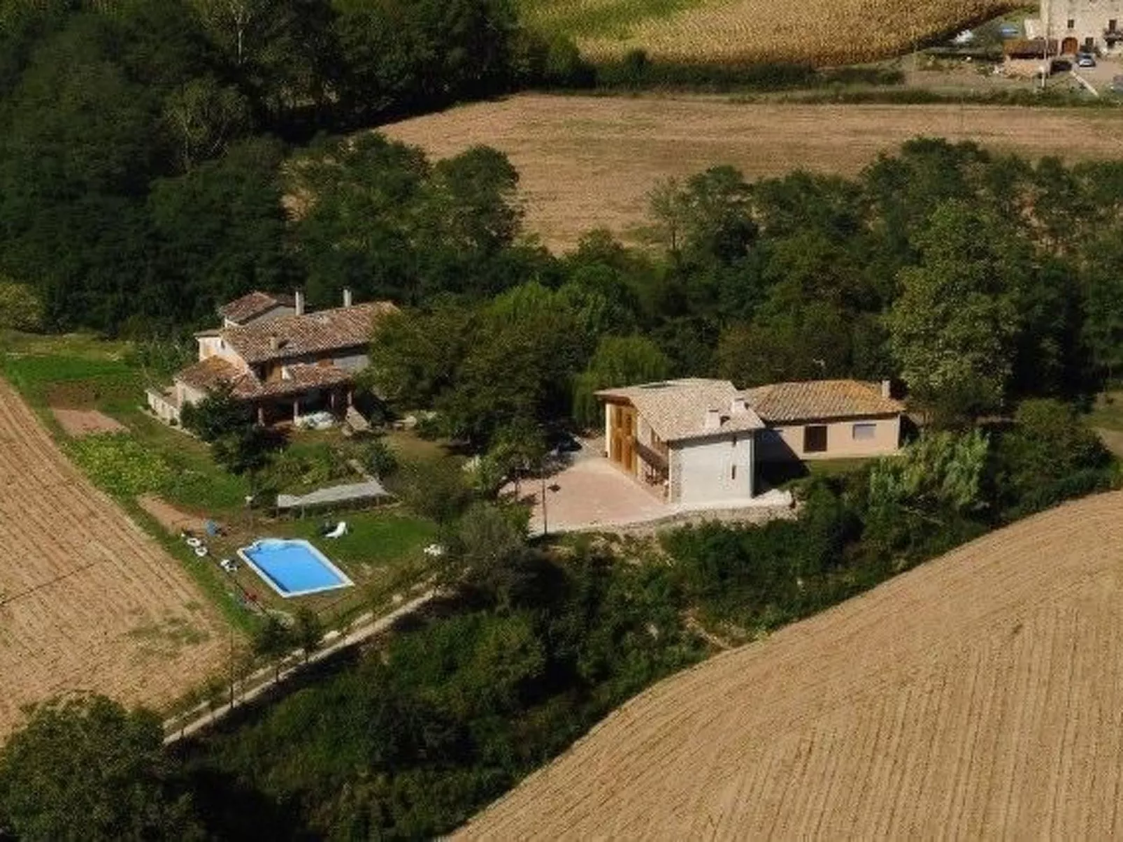 El Paller-Image-tags.info