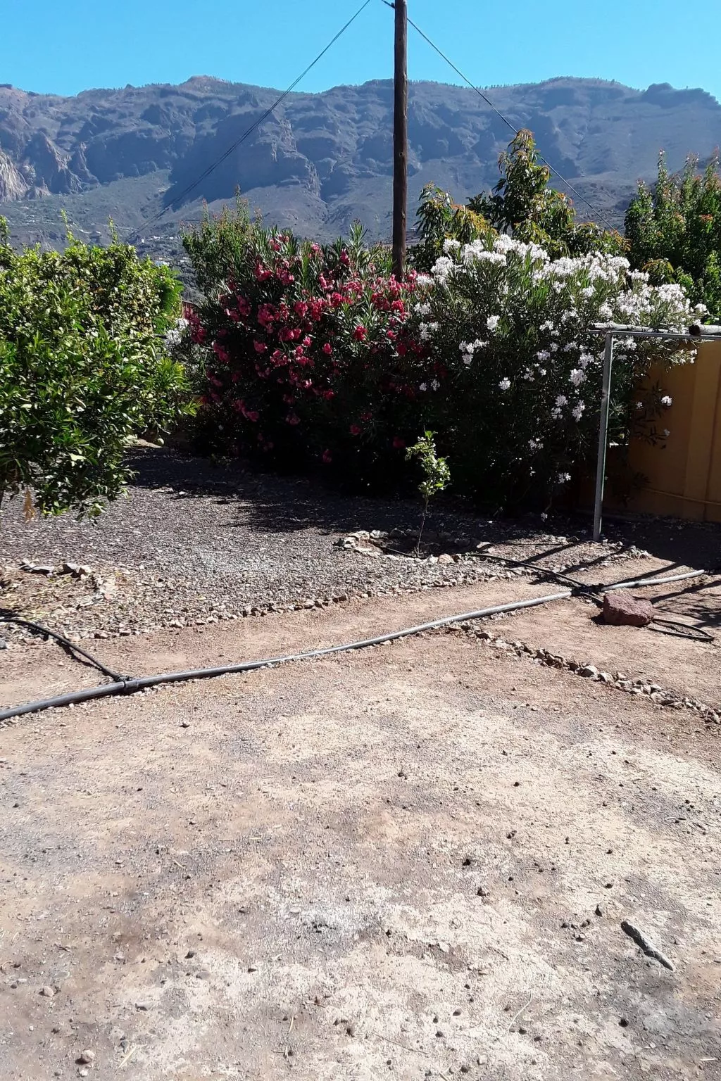 "La Almendra" mit Terrasse-Image-tags.info