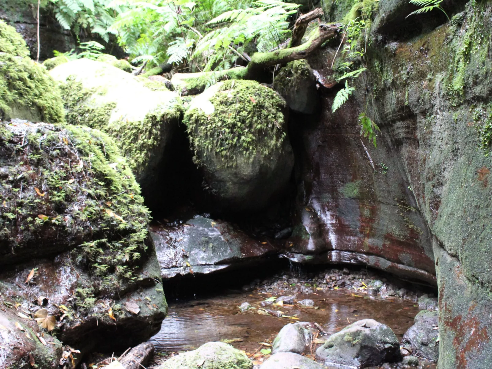 In Monte Breñas mit Grill, Terrasse und Garten-Outside