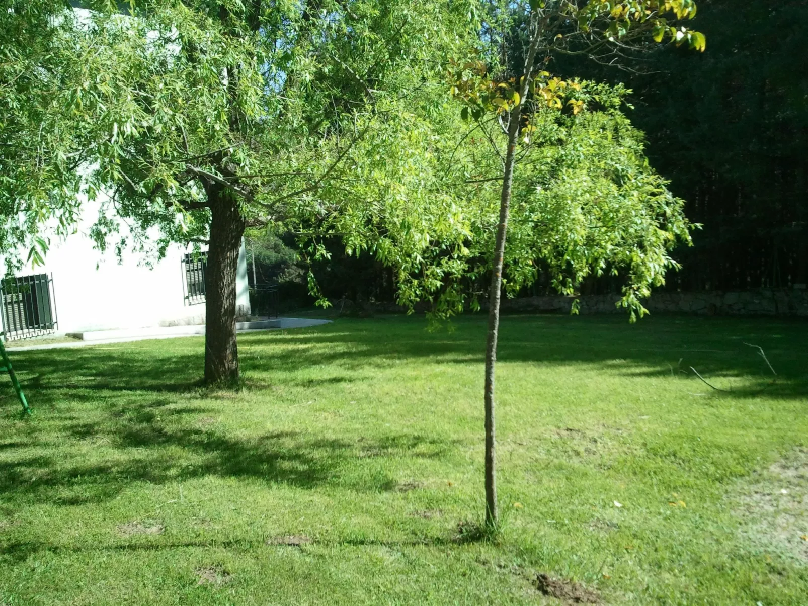 Mitten in der Natur-Image-tags.info