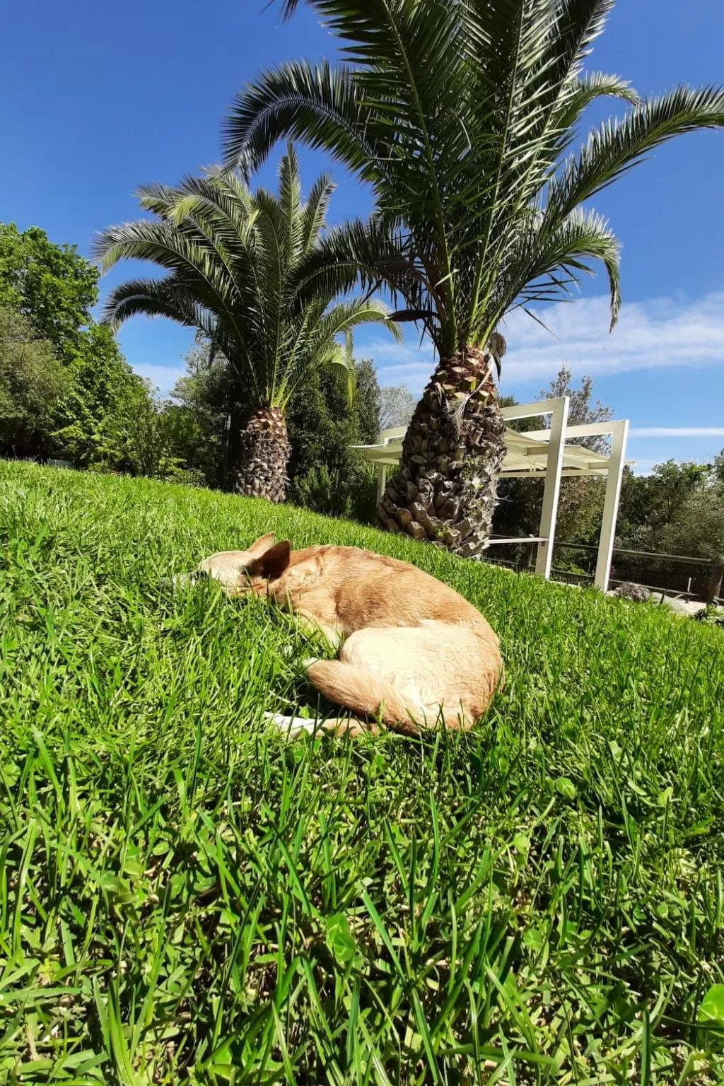 Ein-Zimmer-Wohnung in einem Bauernhaus-Outside