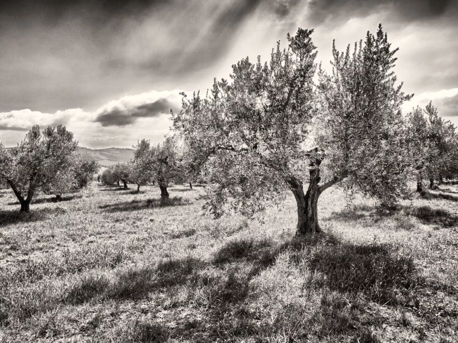 Il Melograno Panoramahaus-Dehors