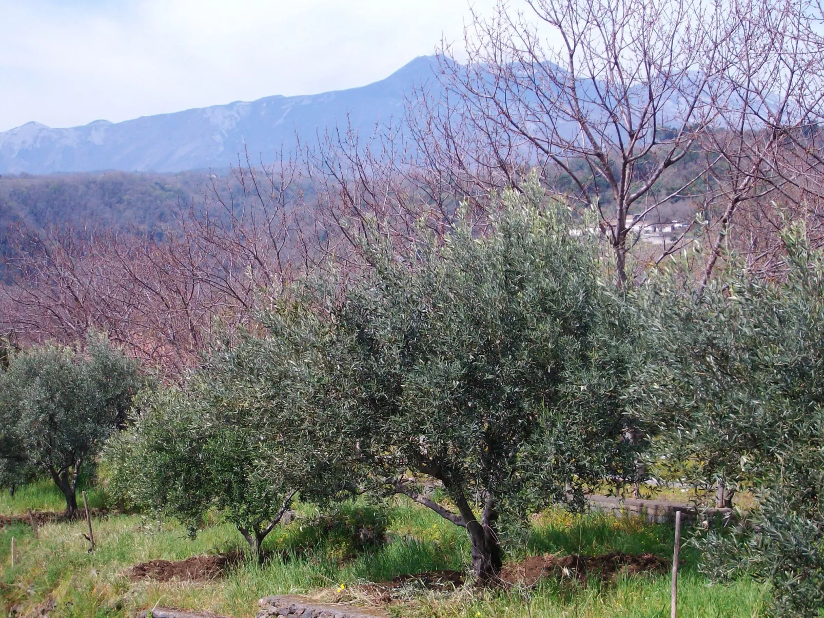 Anwesen "Casa Malù" mit Blick aufs Wasser-Outside
