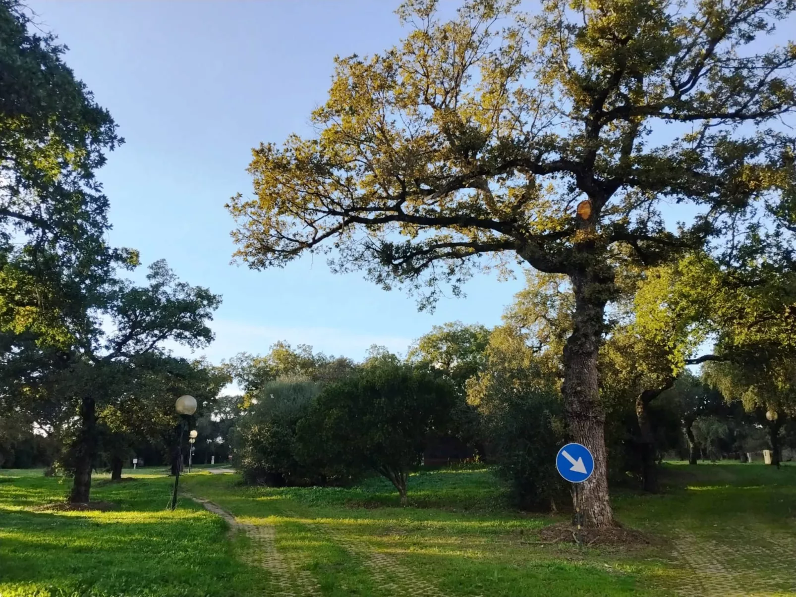 Zwei-Zimmer-Wohnung für maximal 4 Personen in Norbello-Image-tags.info