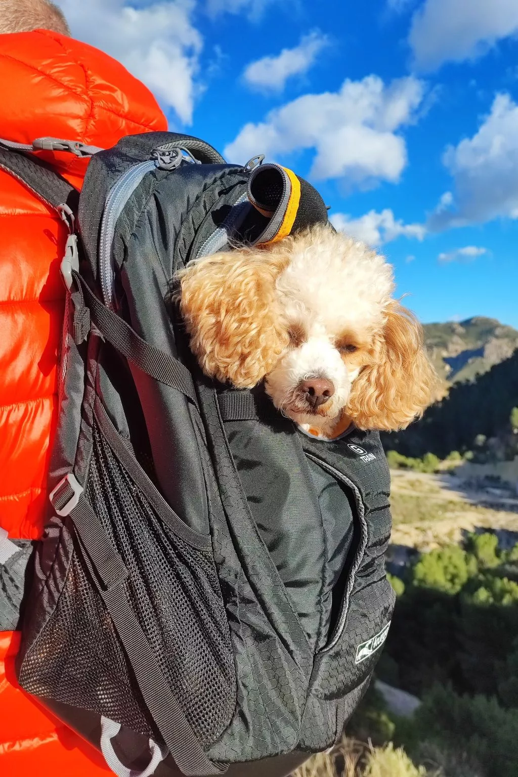 Domicilio de Vida-Image-tags.info