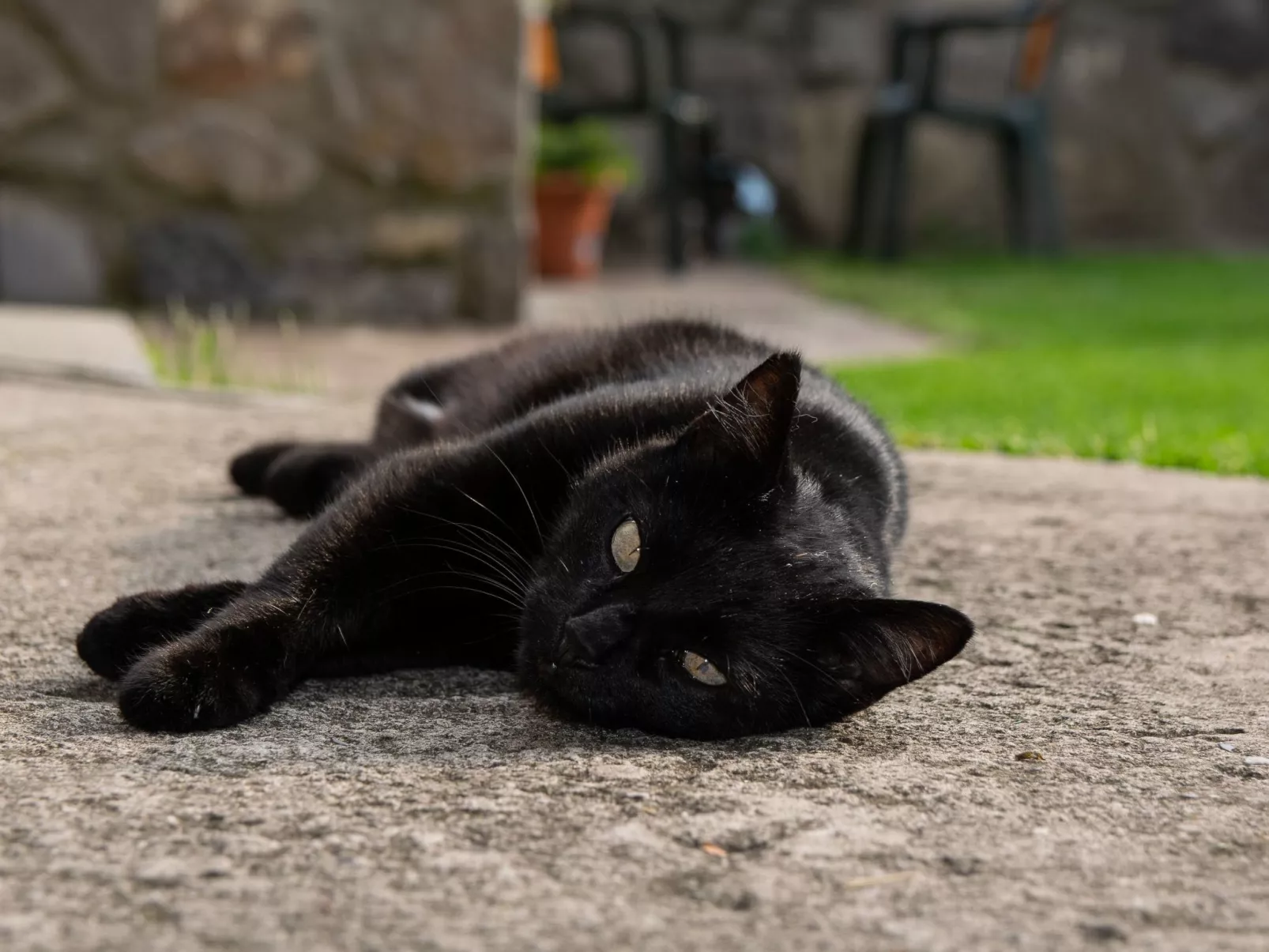 Studio-Apartment mit Balkon mit Seeblick und Zugang zum Garten-Dehors