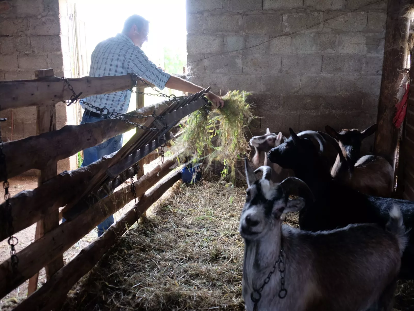 Das Landgut "Corte Canale Virgilio" mit Balkon-Image-tags.info