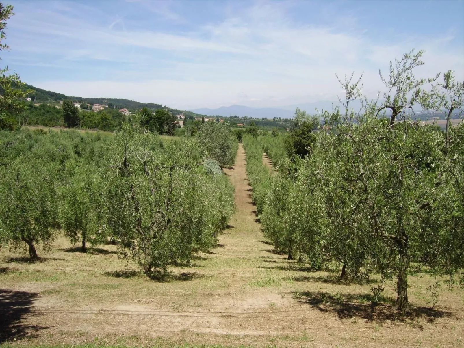  Il Podere La Regina mit privatem Pool-Image-tags.info