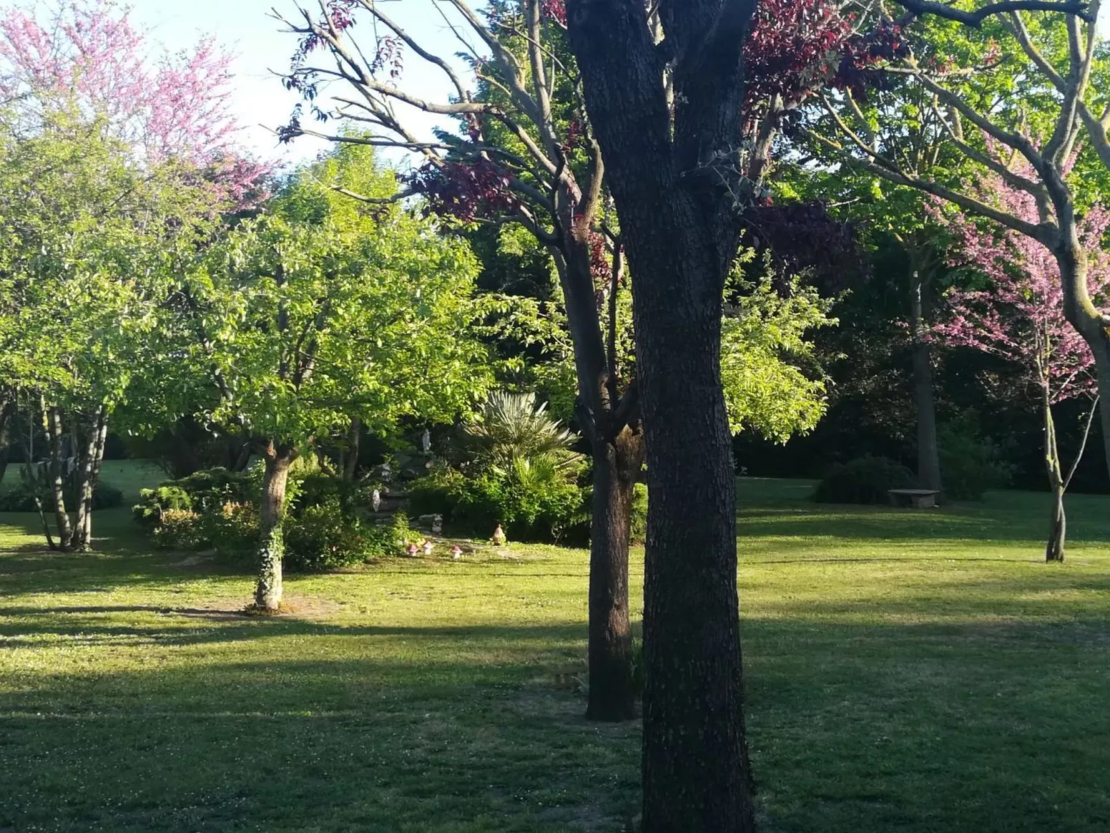 Wohnung mit Privatparkplatz-Dehors