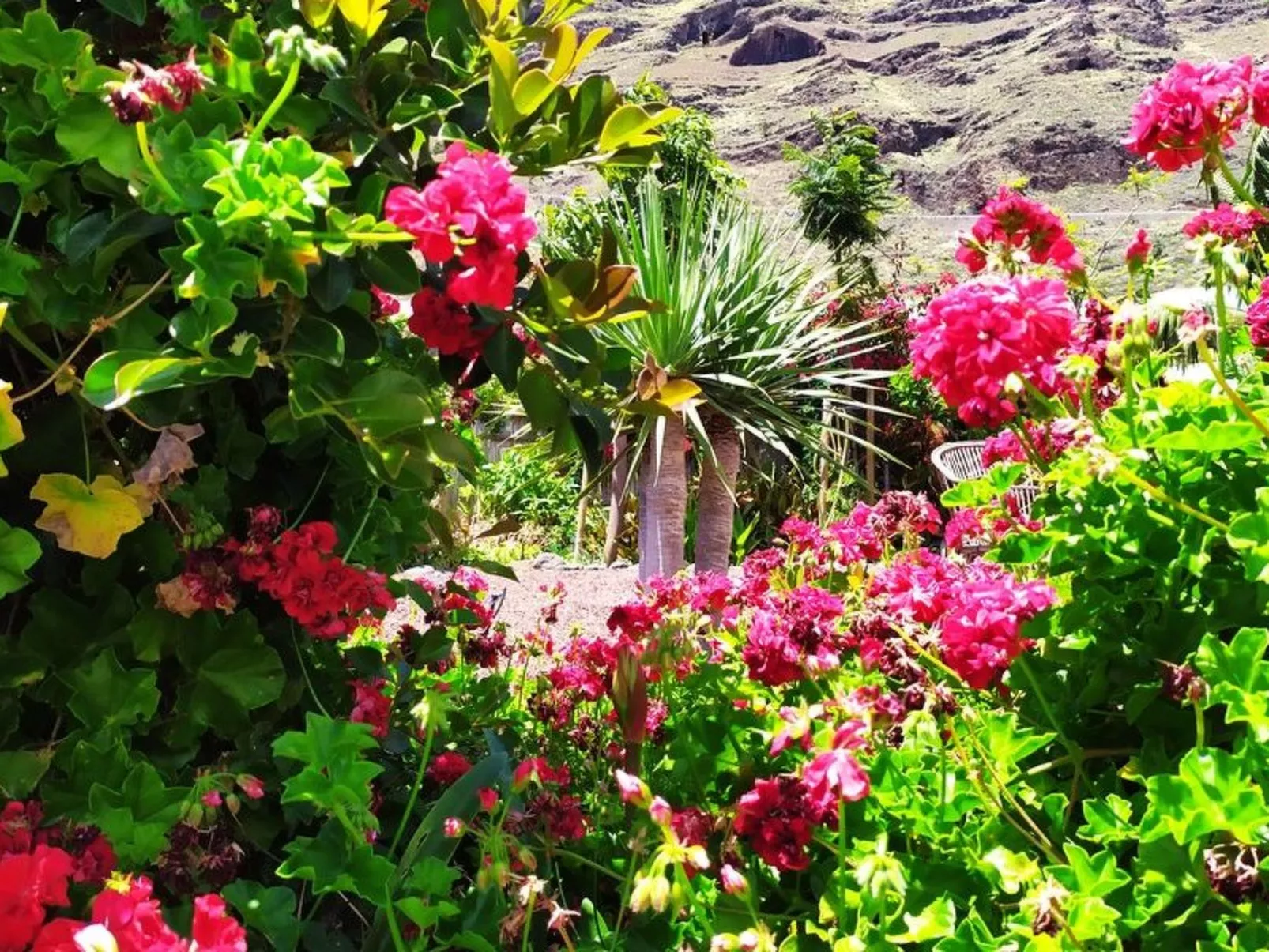 Haus Vista Caldera - Draußen